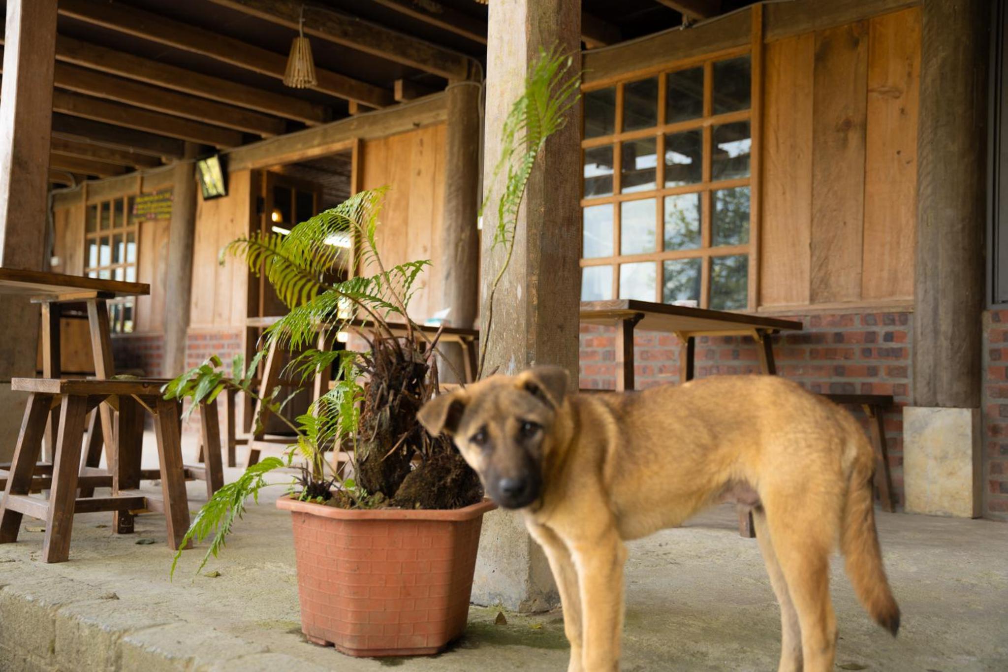 NaChi Homestay