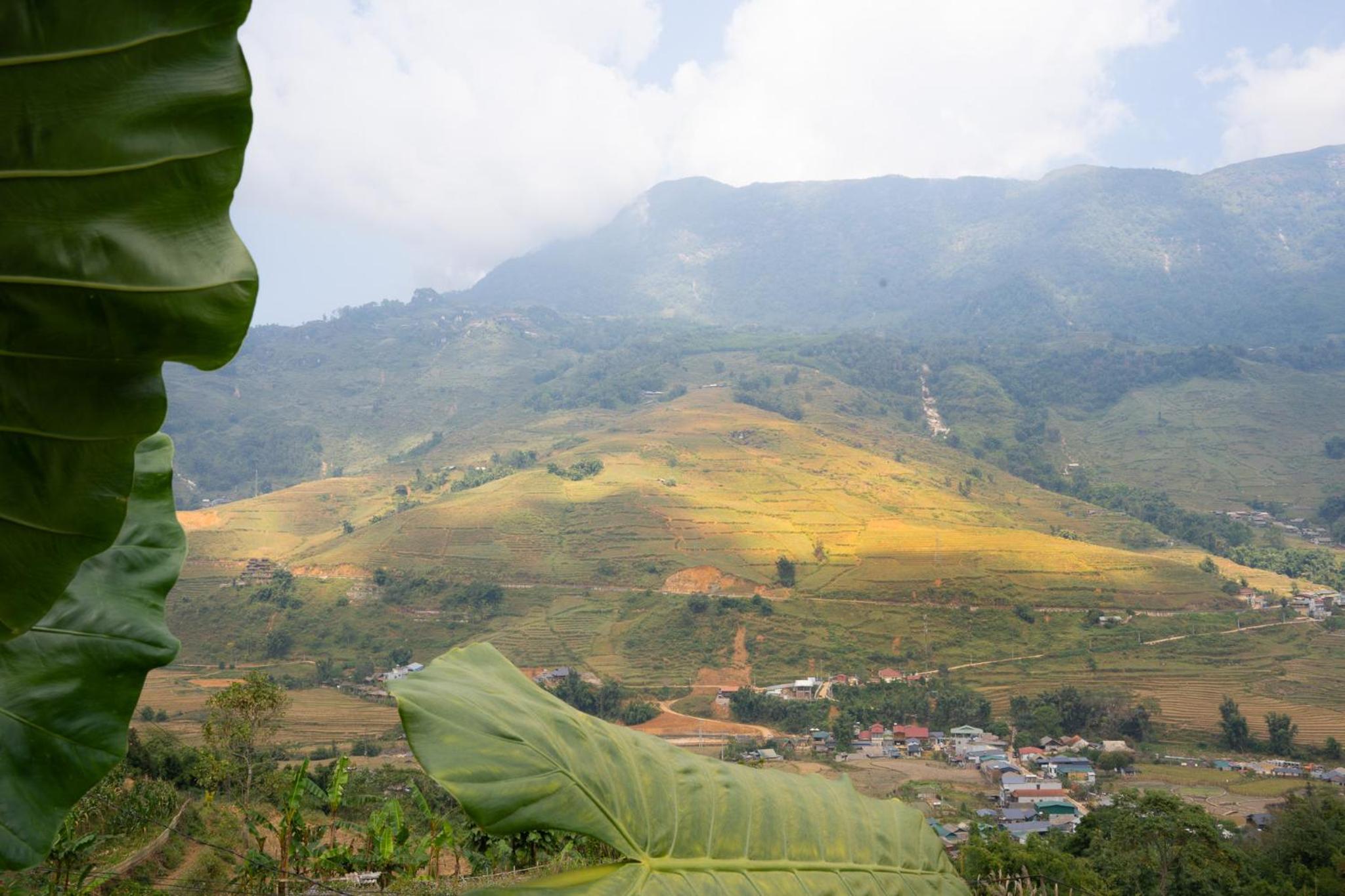 NaChi Homestay