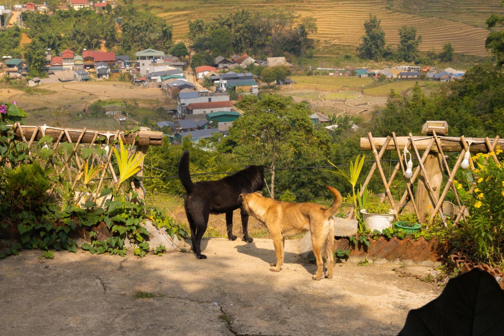 NaChi Homestay