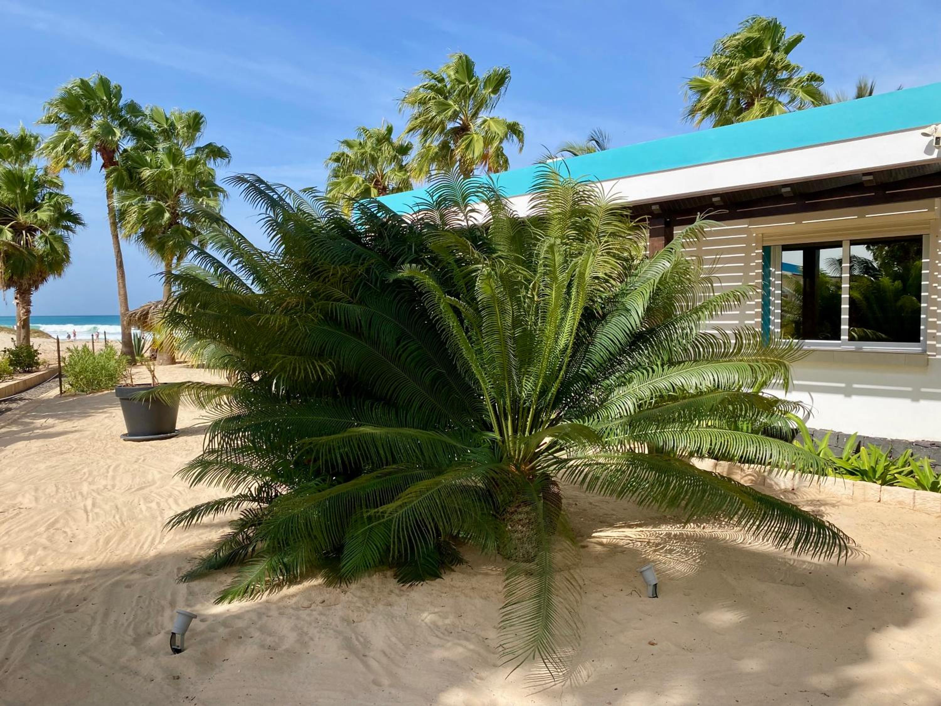Vila Mare - Praia de Chaves frontline