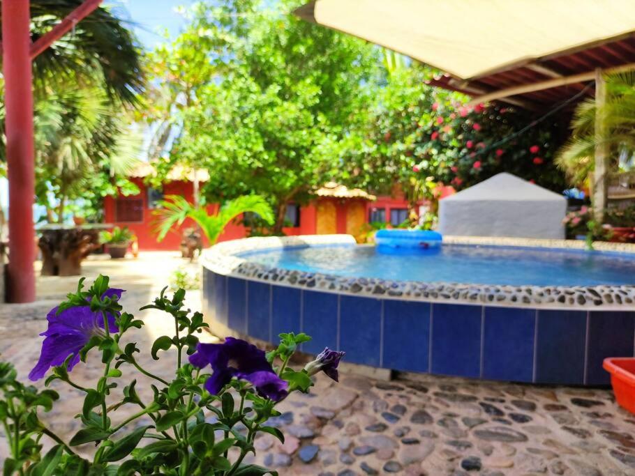 Casa Gaviota view 5