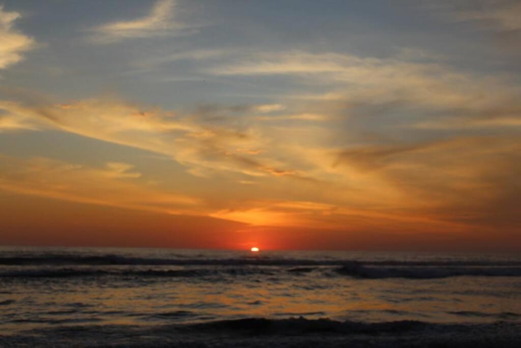 Photo 50
