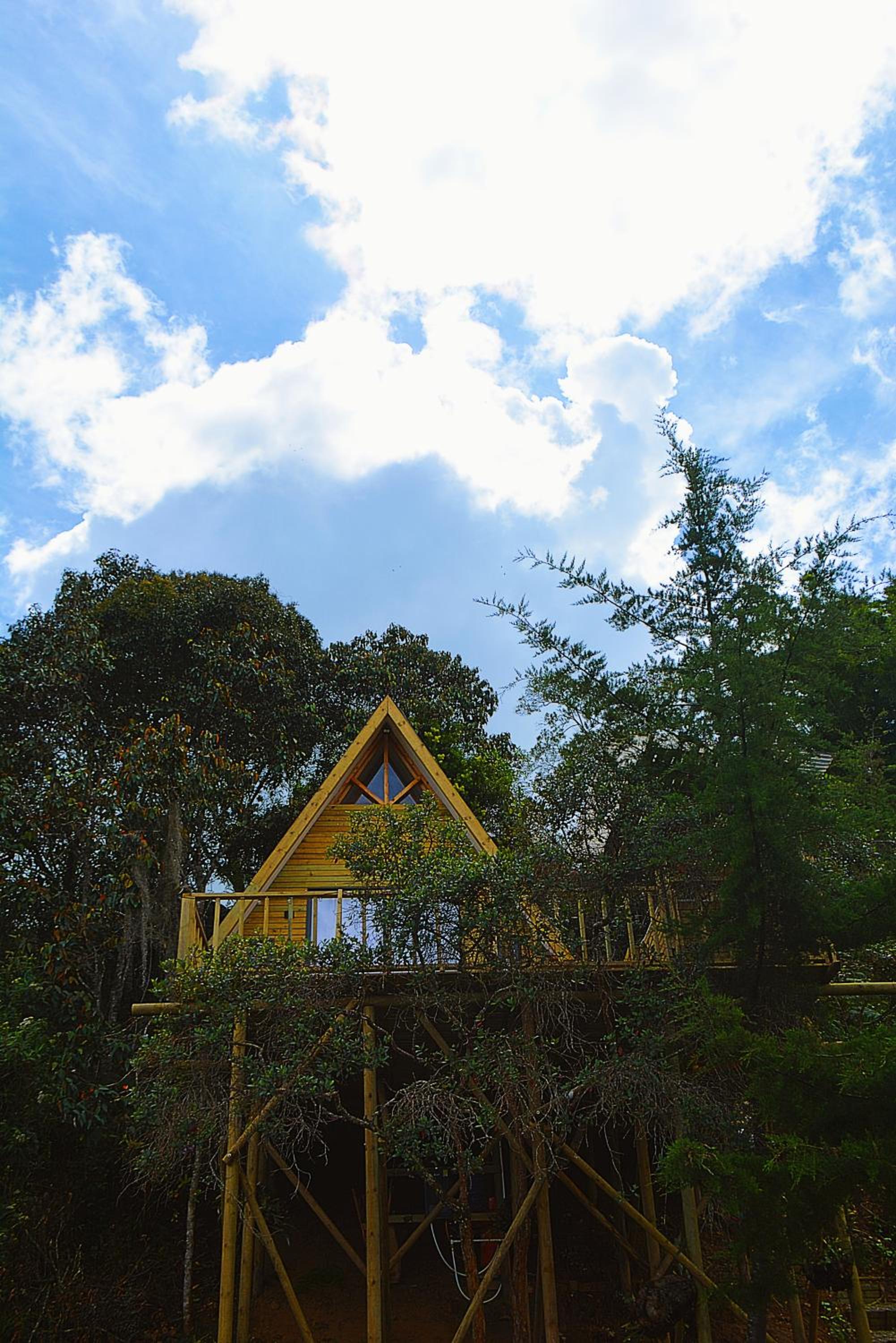 Cabaña Madre Selva