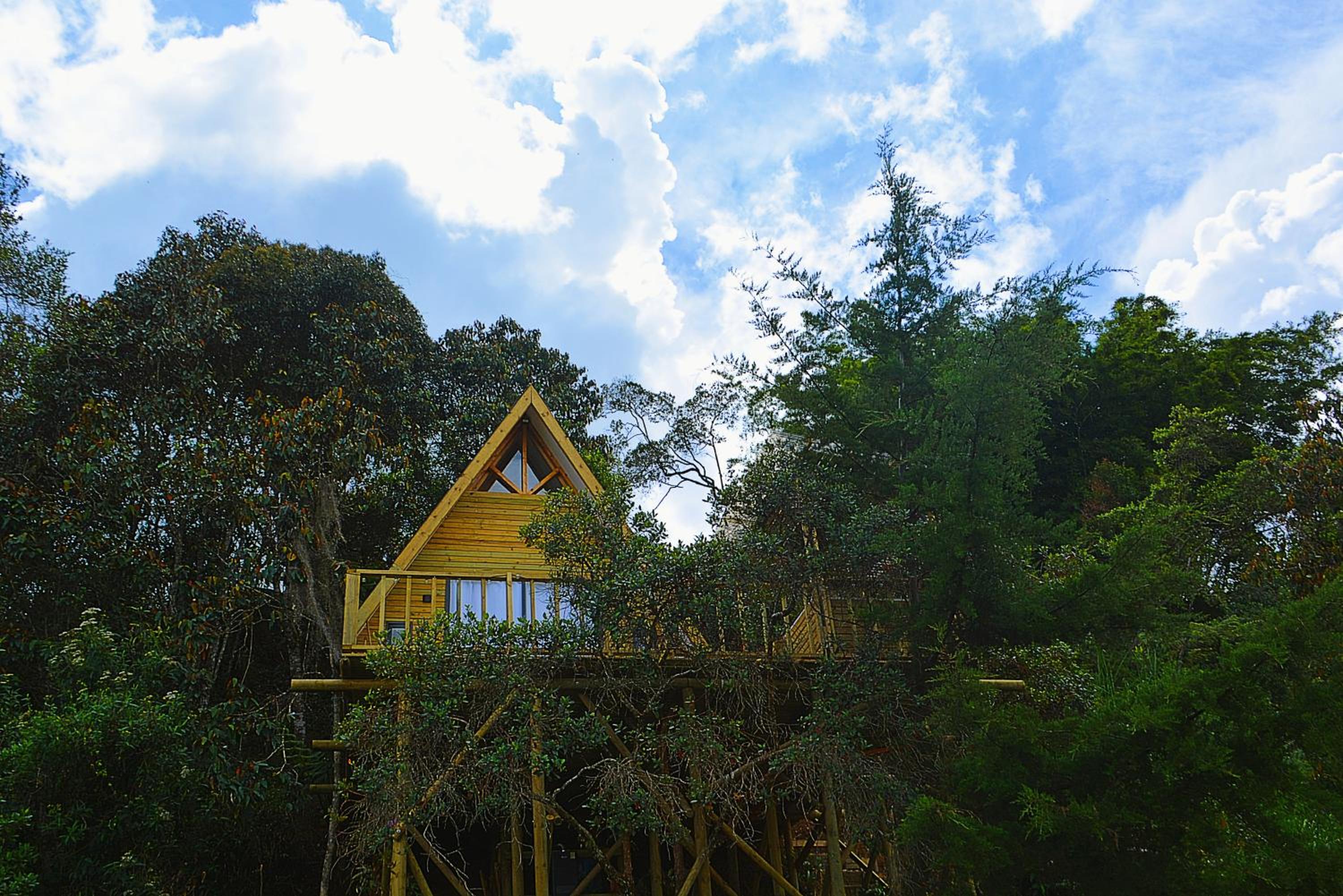 Cabaña Madre Selva