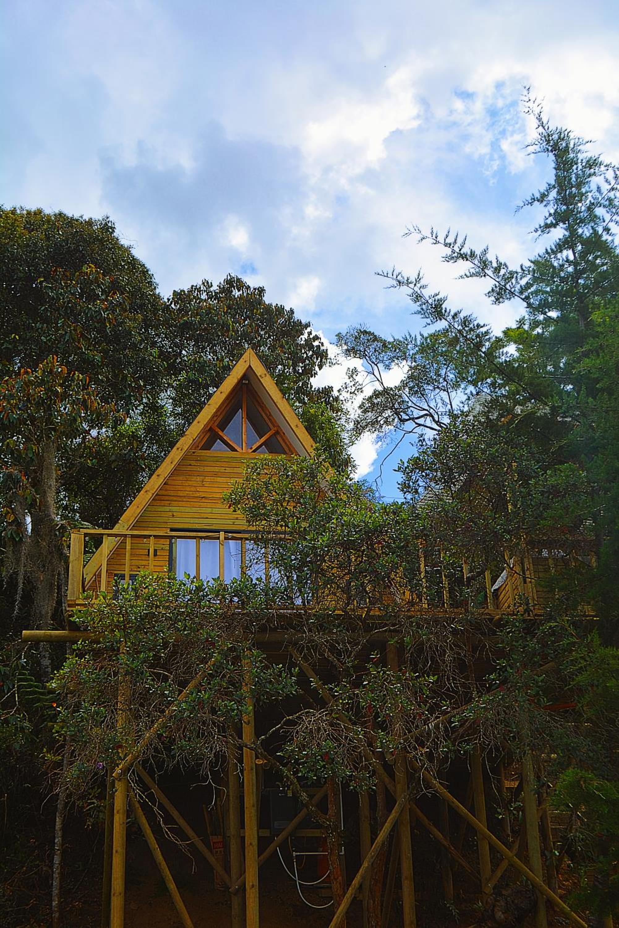 Hotel Cabaña Madre Selva - Image 1