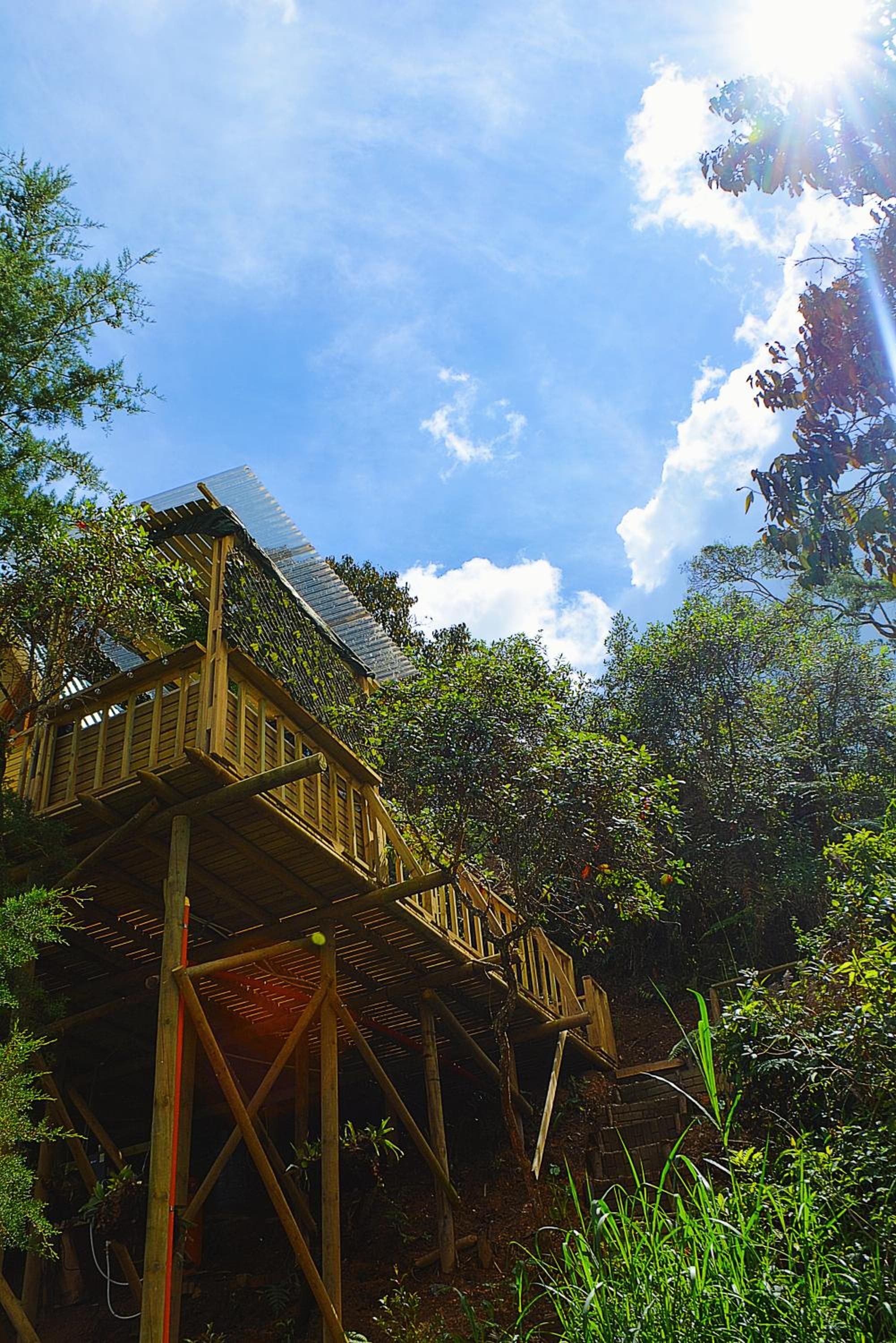 Cabaña Madre Selva