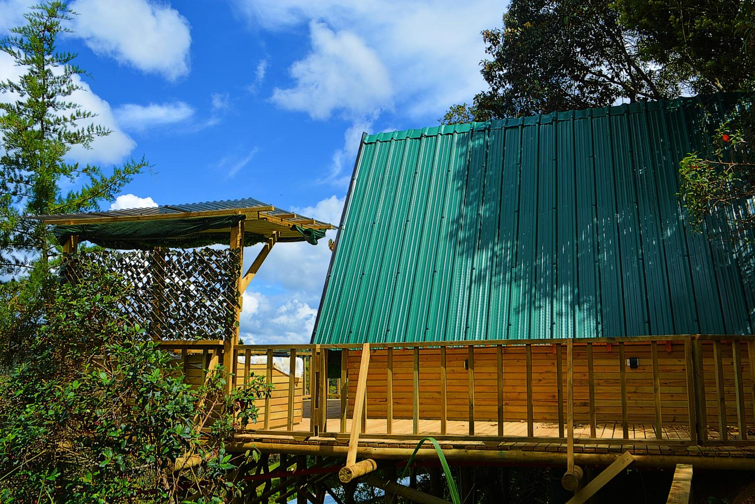Cabaña Madre Selva