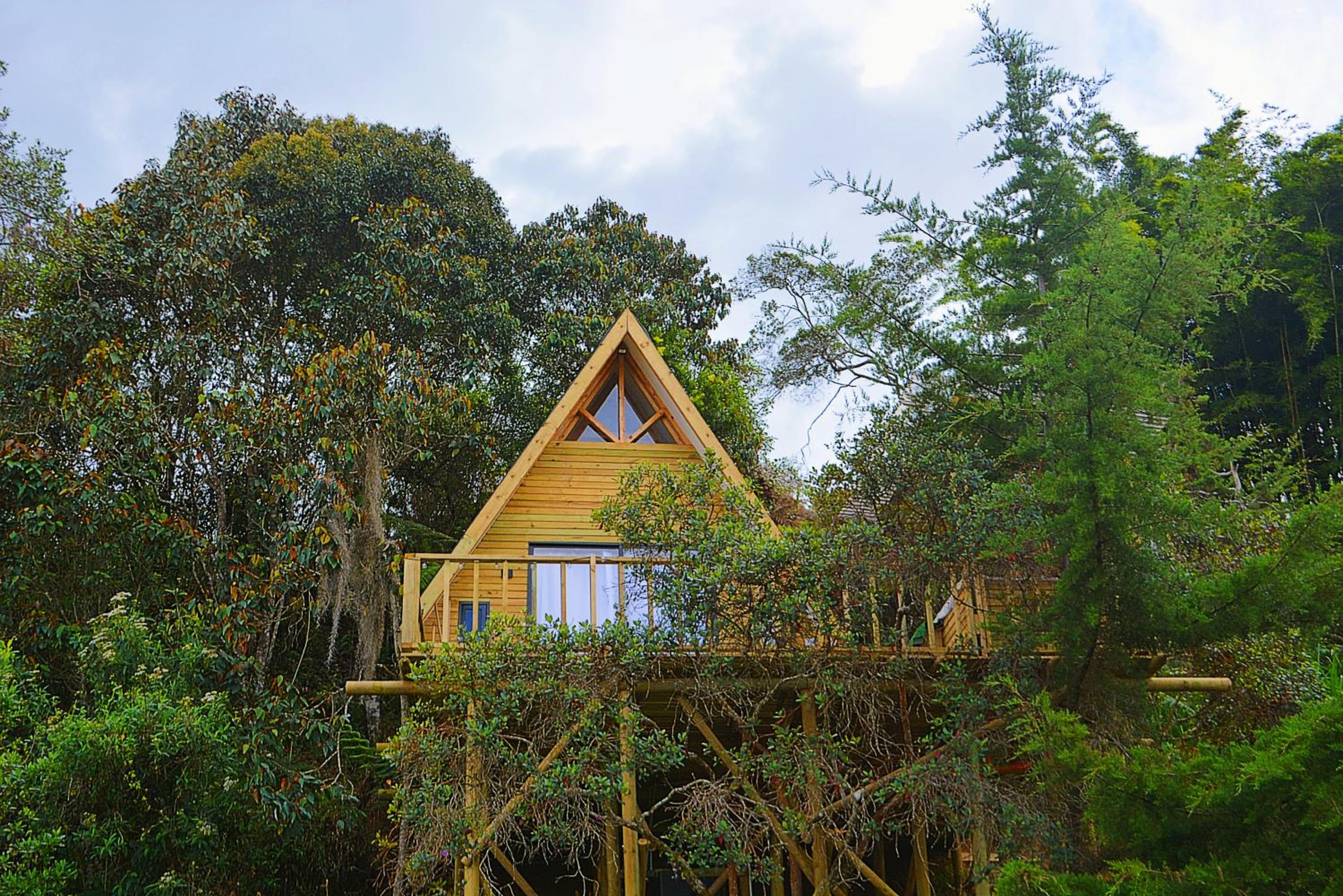 Cabaña Madre Selva