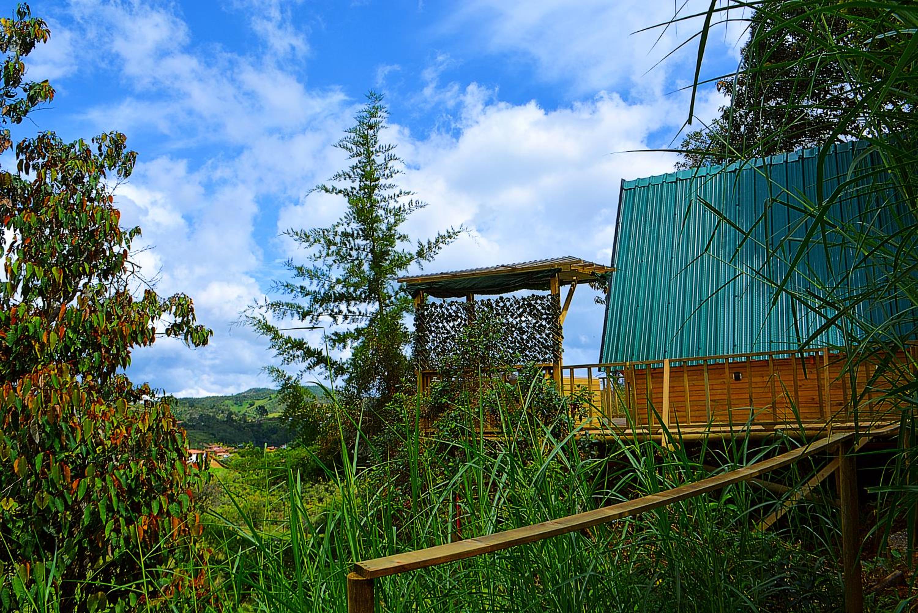Cabaña Madre Selva