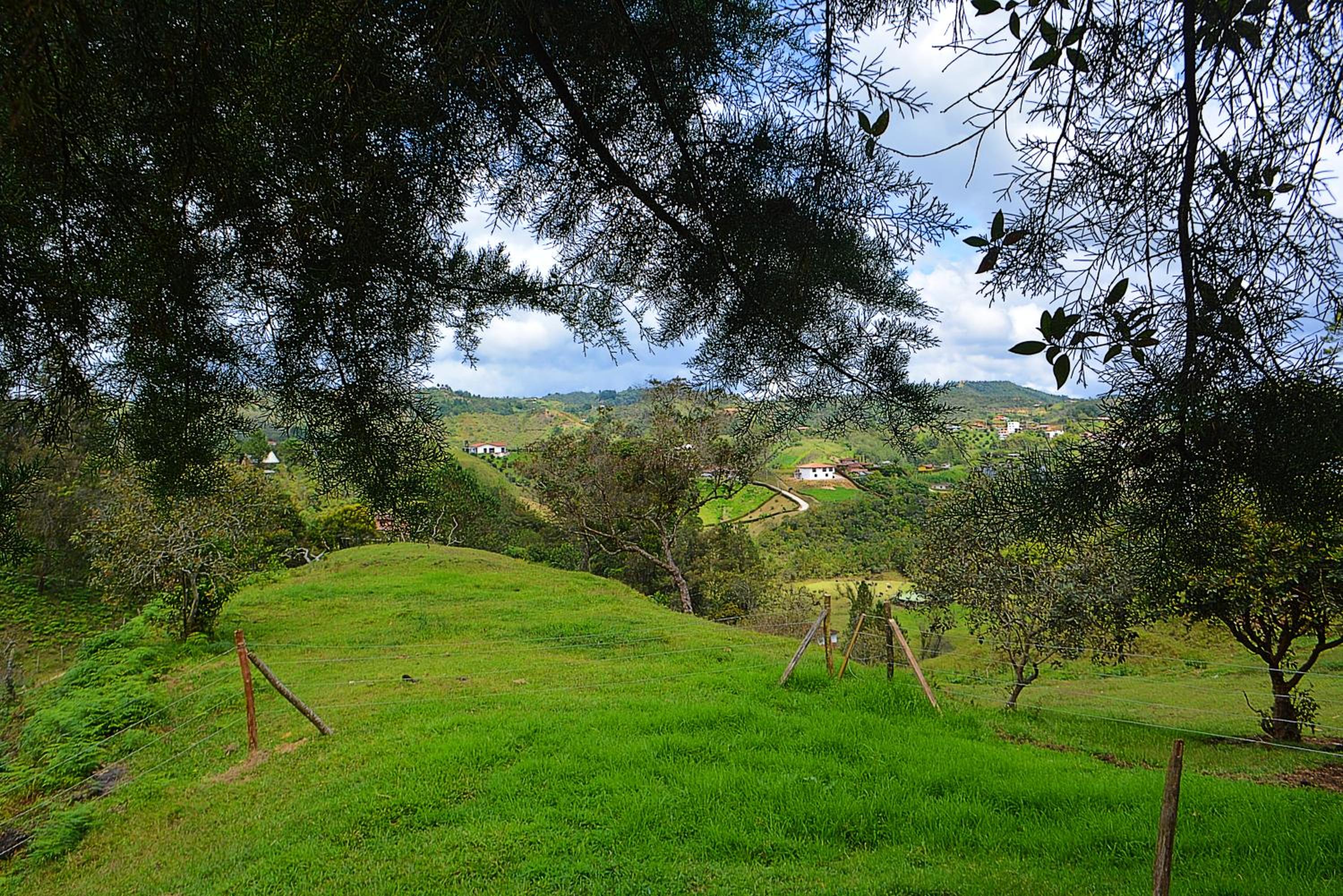 Cabaña Madre Selva