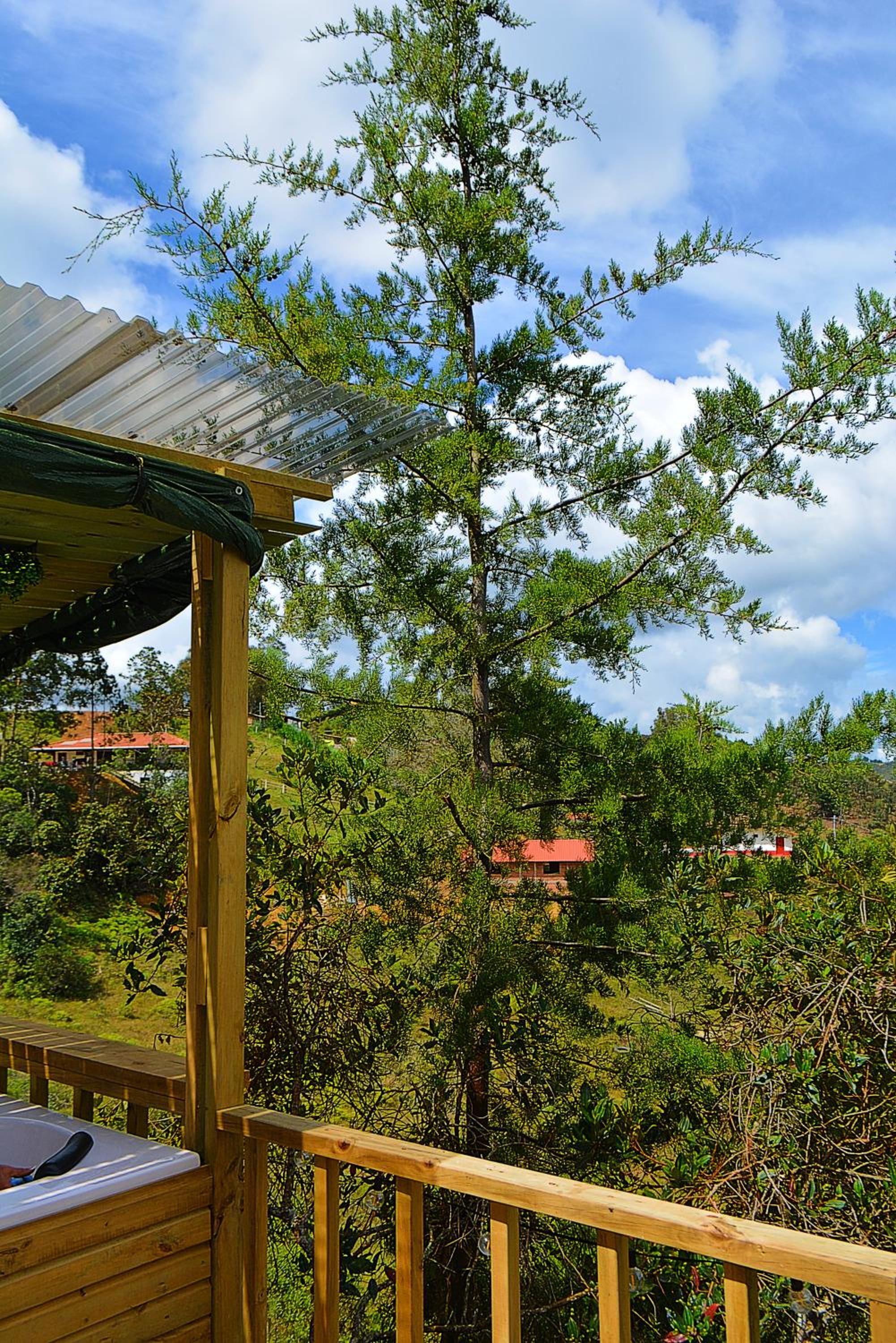 Cabaña Madre Selva
