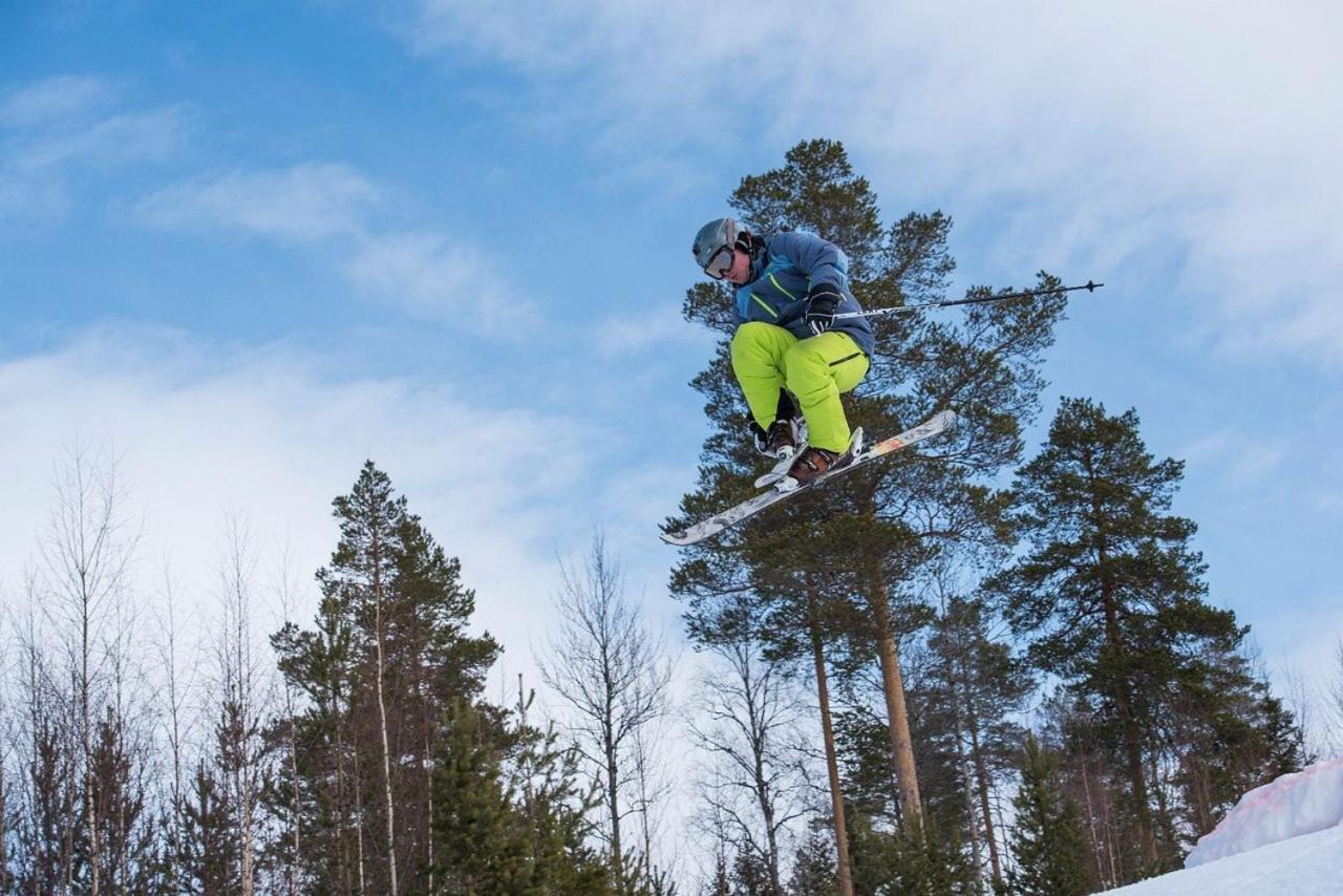 Hjørnet - Fulufjellets nasjonalparker - snø - alpint - langrenn - snøscooter view 4