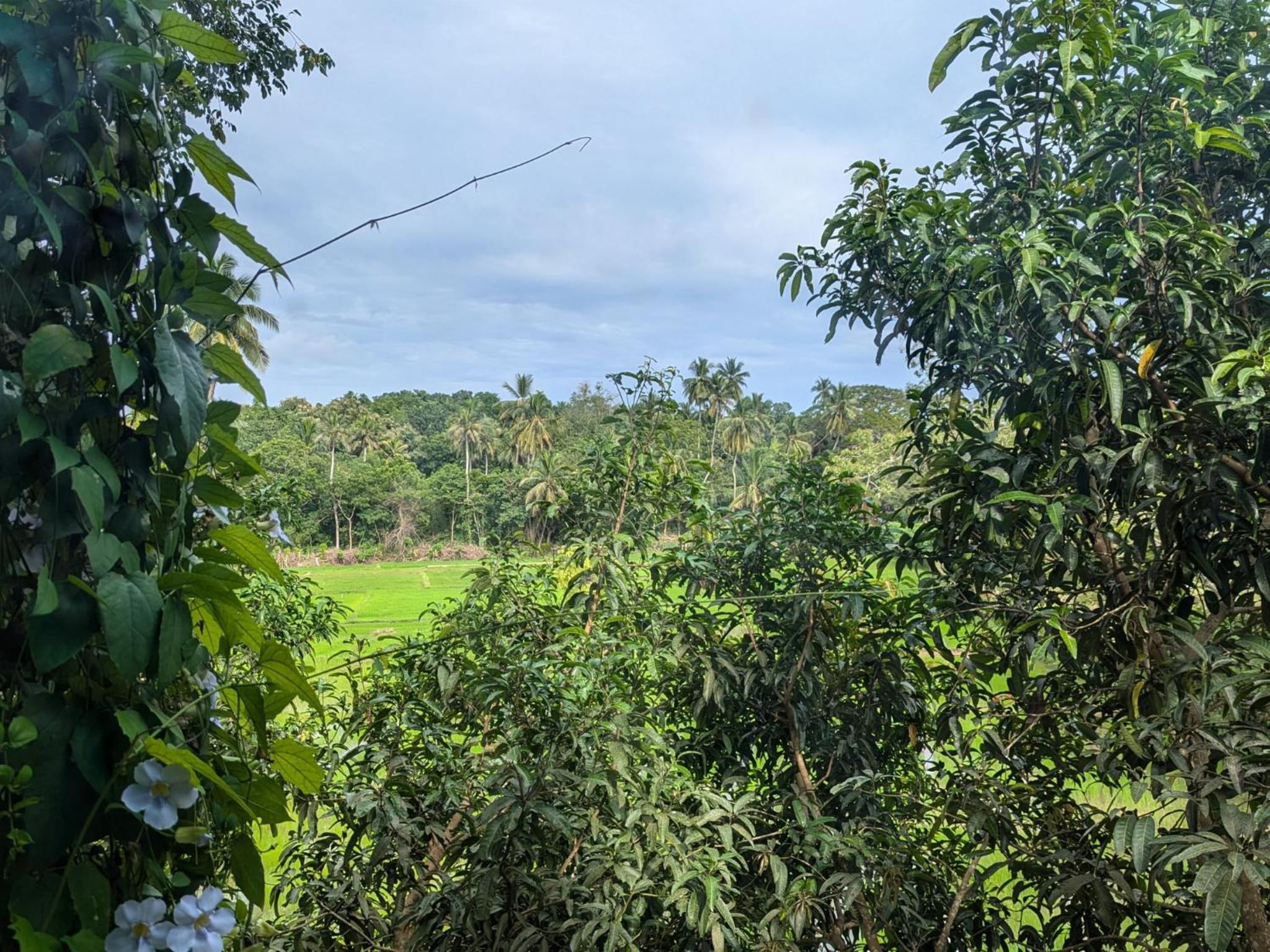 Lake View Cabana near Tangalle