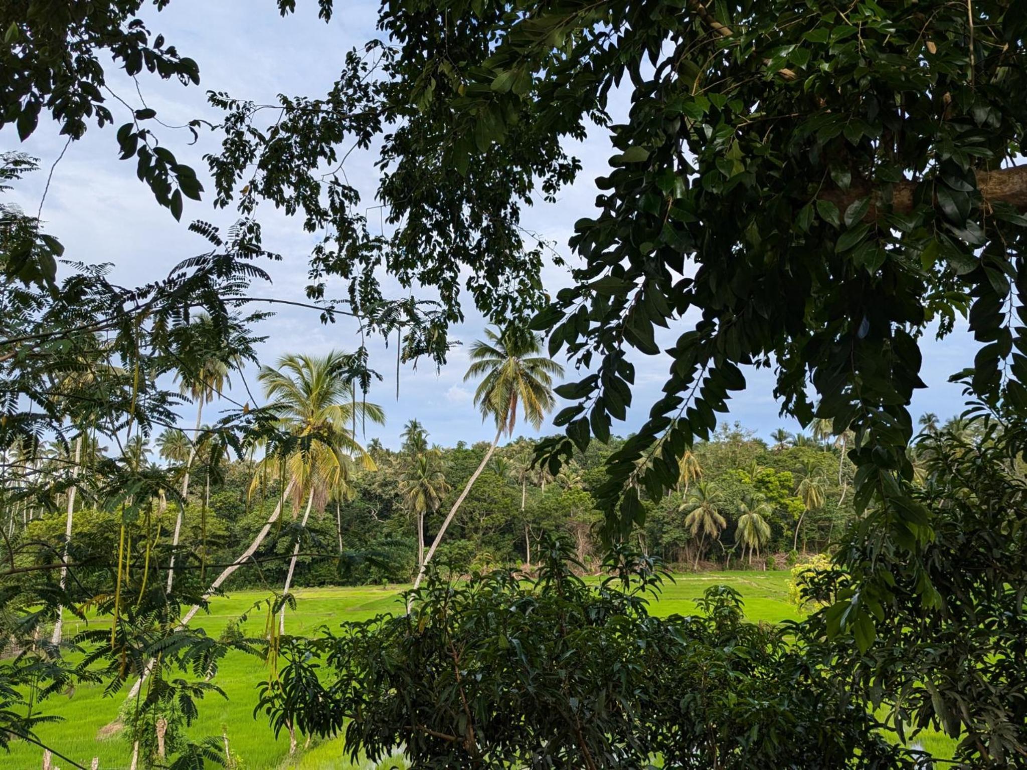 Lake View Cabana near Tangalle