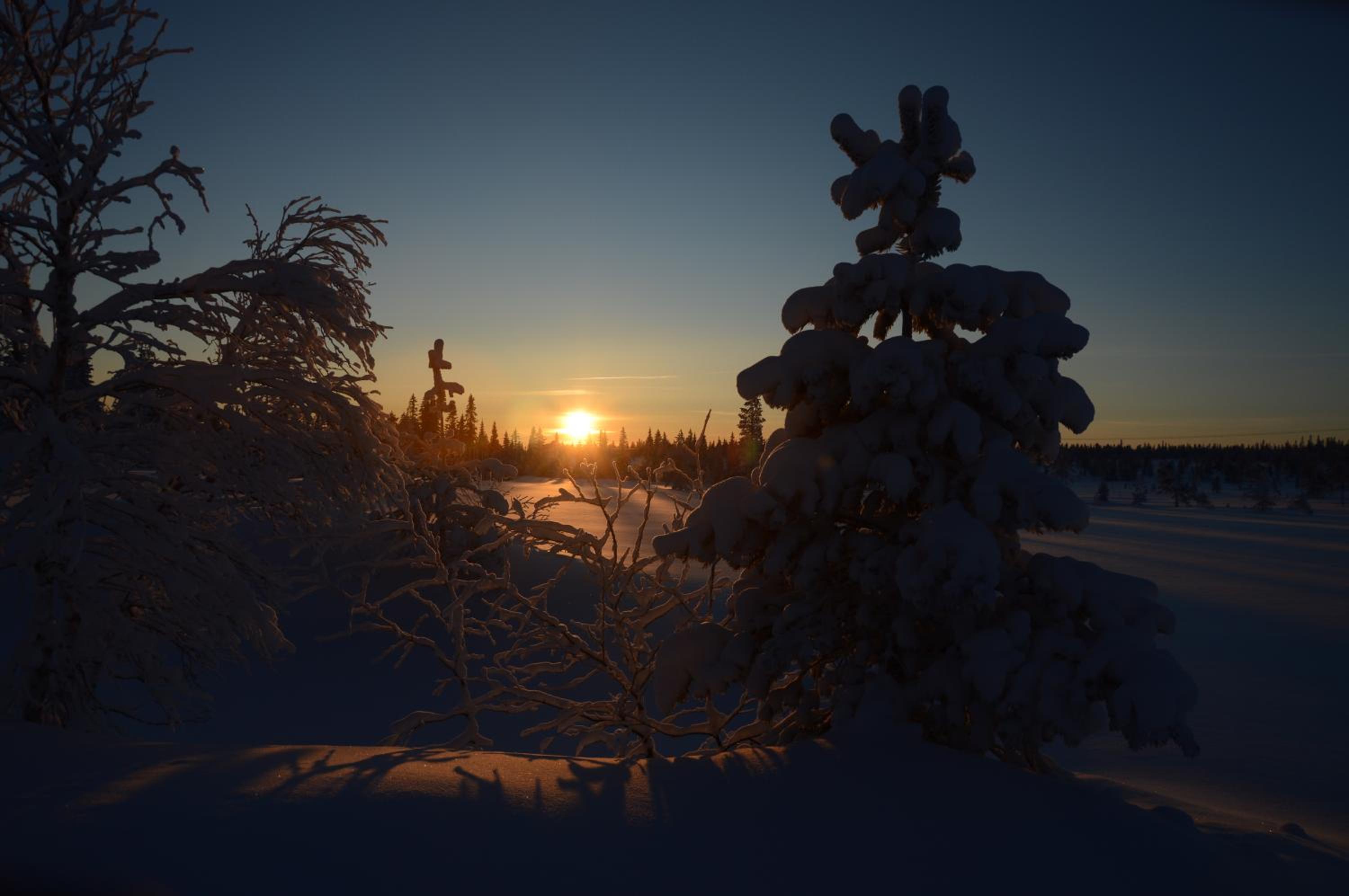 Hjørnet - Fulufjellets nasjonalparker - snø - alpint - langrenn - snøscooter view 2