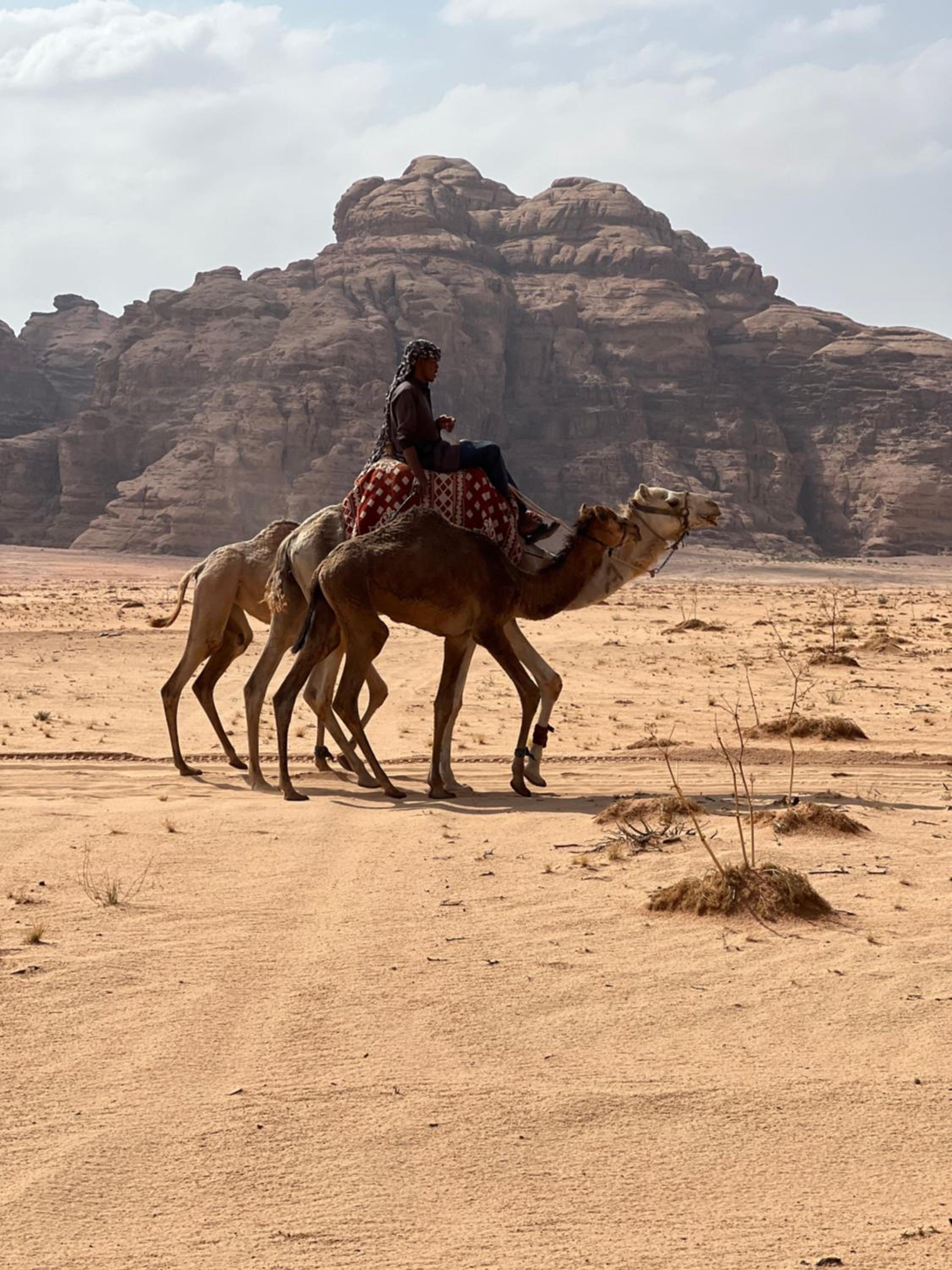 Wadi Rum Luxury Hamad & Jeep Tours view 3