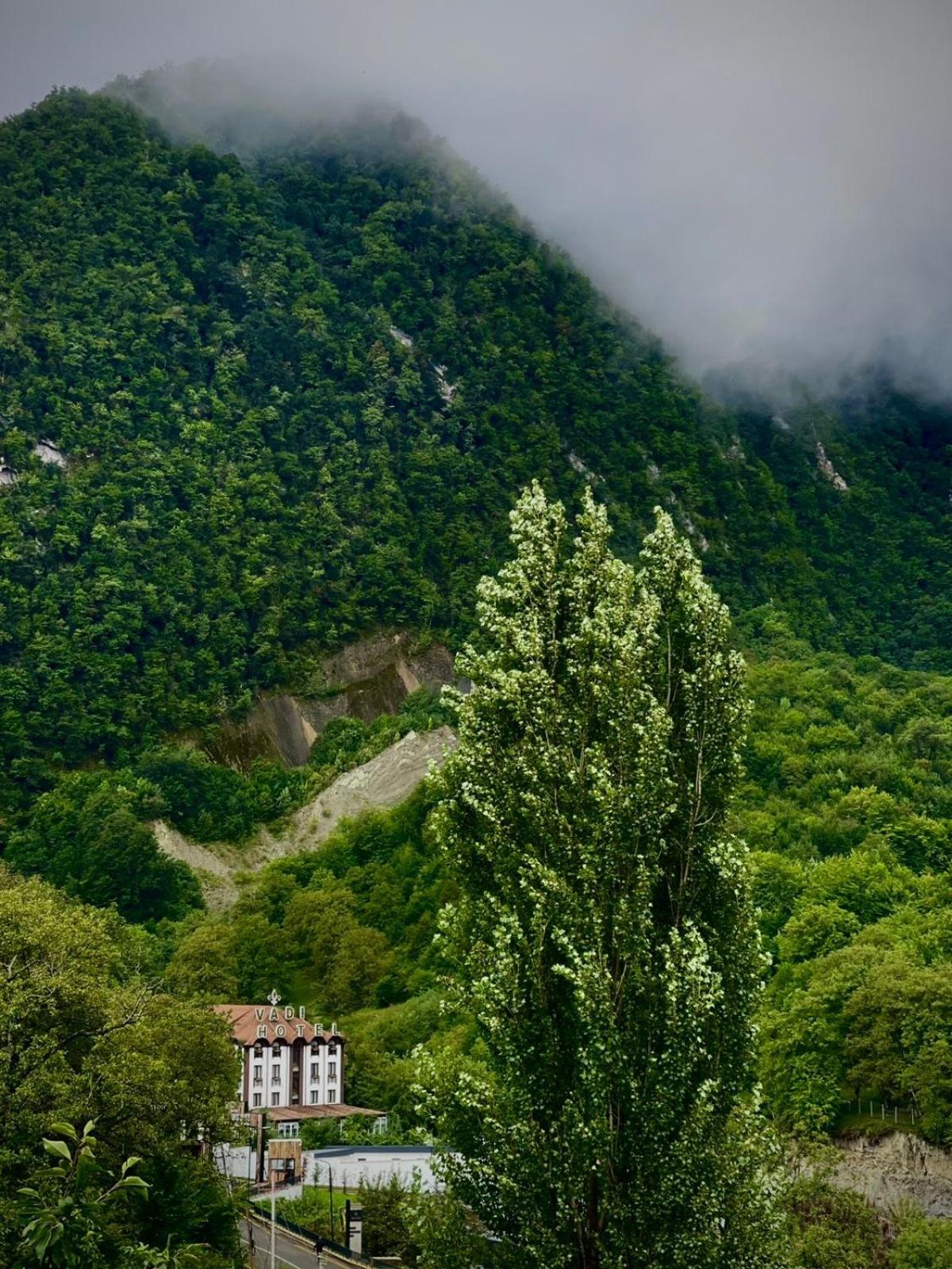 Quba Dağ evi
