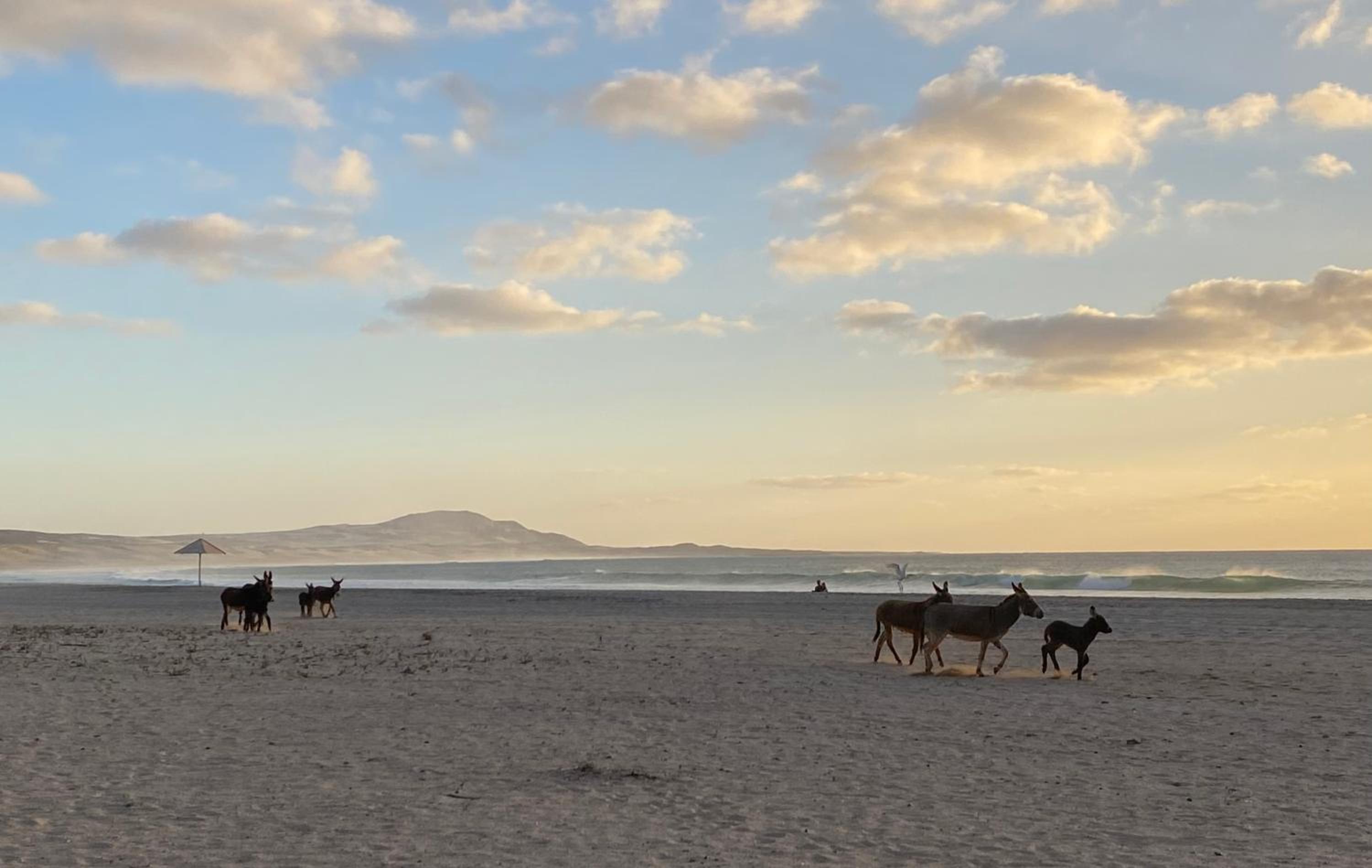 Vila Mare - Praia de Chaves frontline