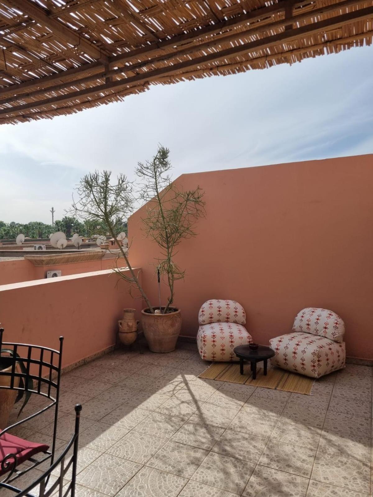 appartement avec grande terrasse