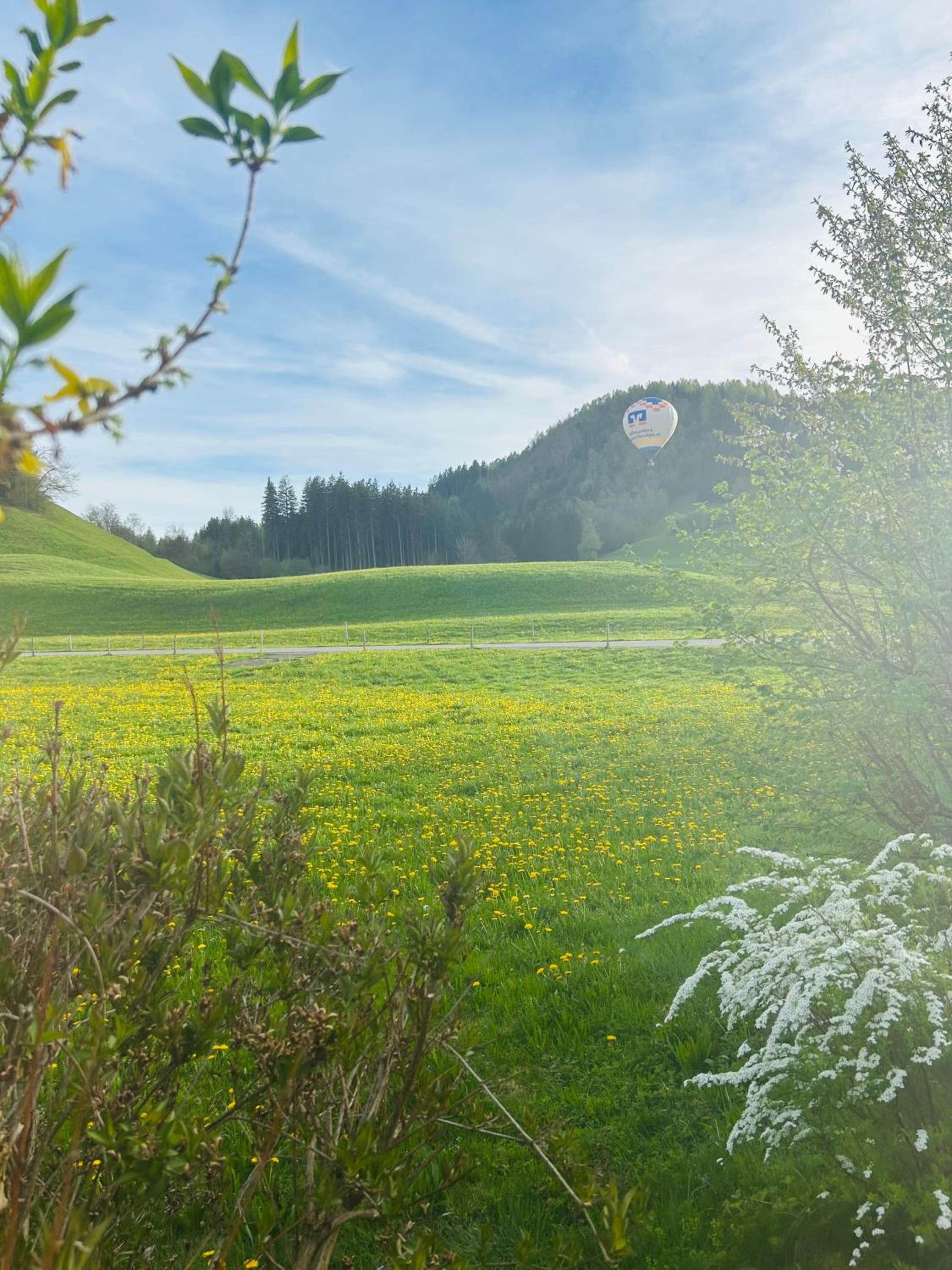 BerglerNest - Apartment mit Bergblick!