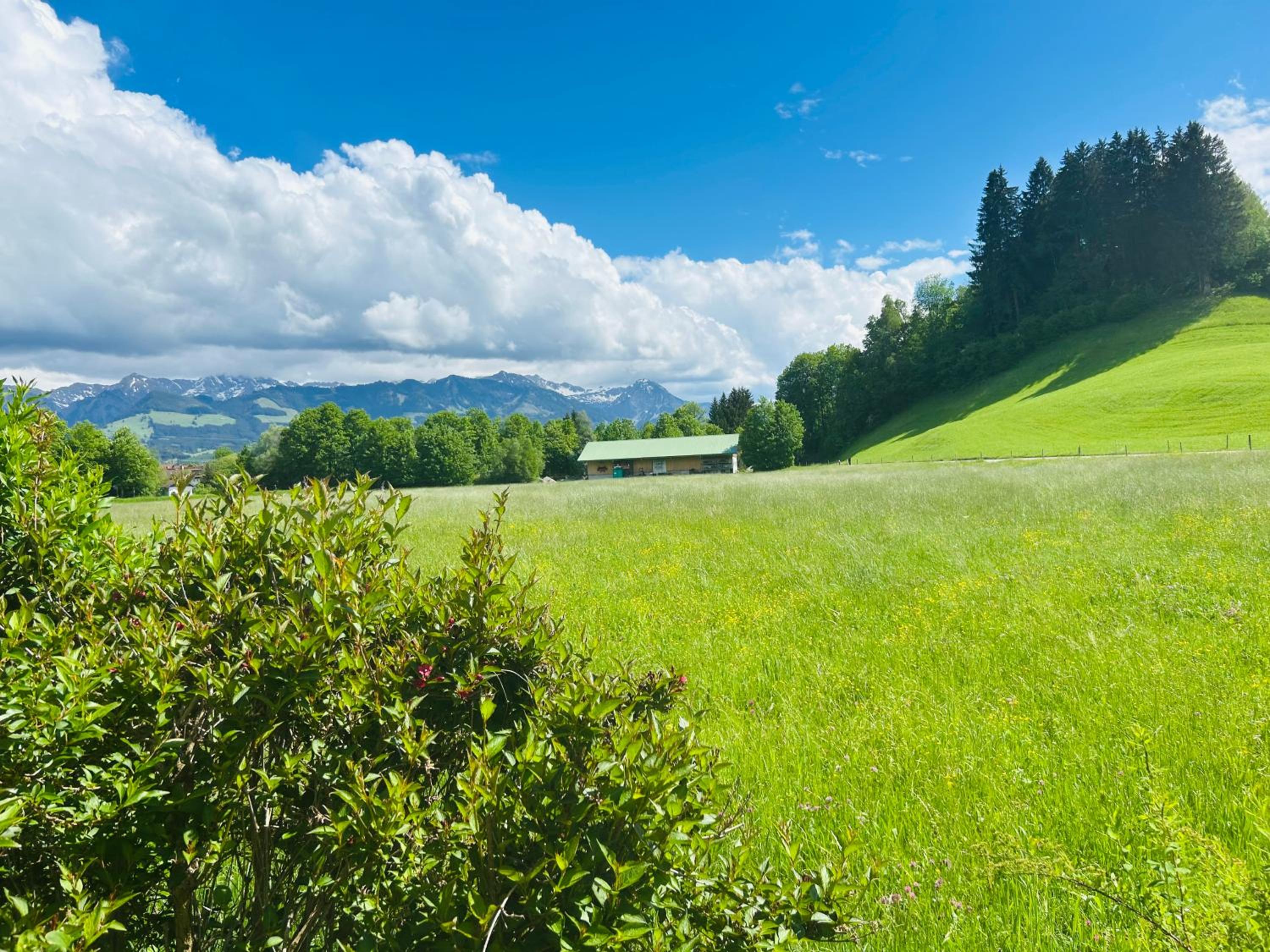 BerglerNest - Apartment mit Bergblick!
