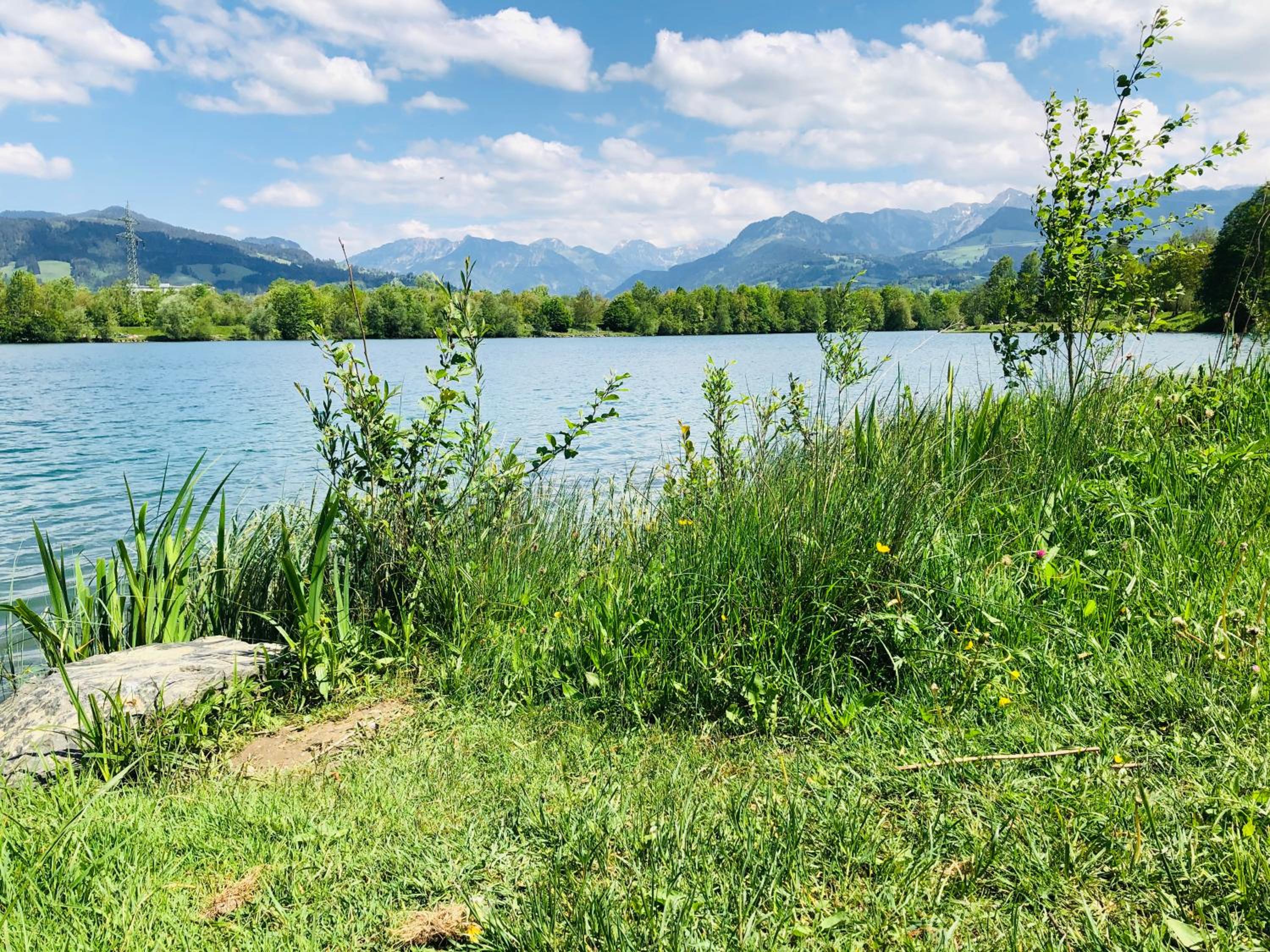 BerglerNest - Apartment mit Bergblick!
