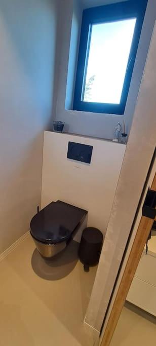 Modern spatious house near Bruges