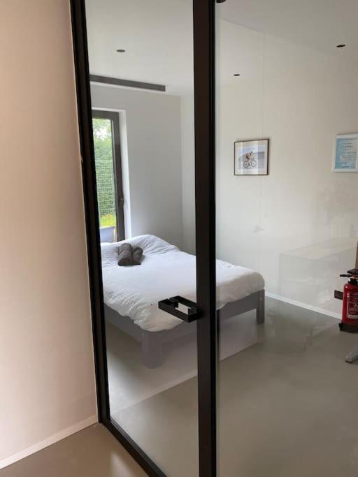 Modern spatious house near Bruges