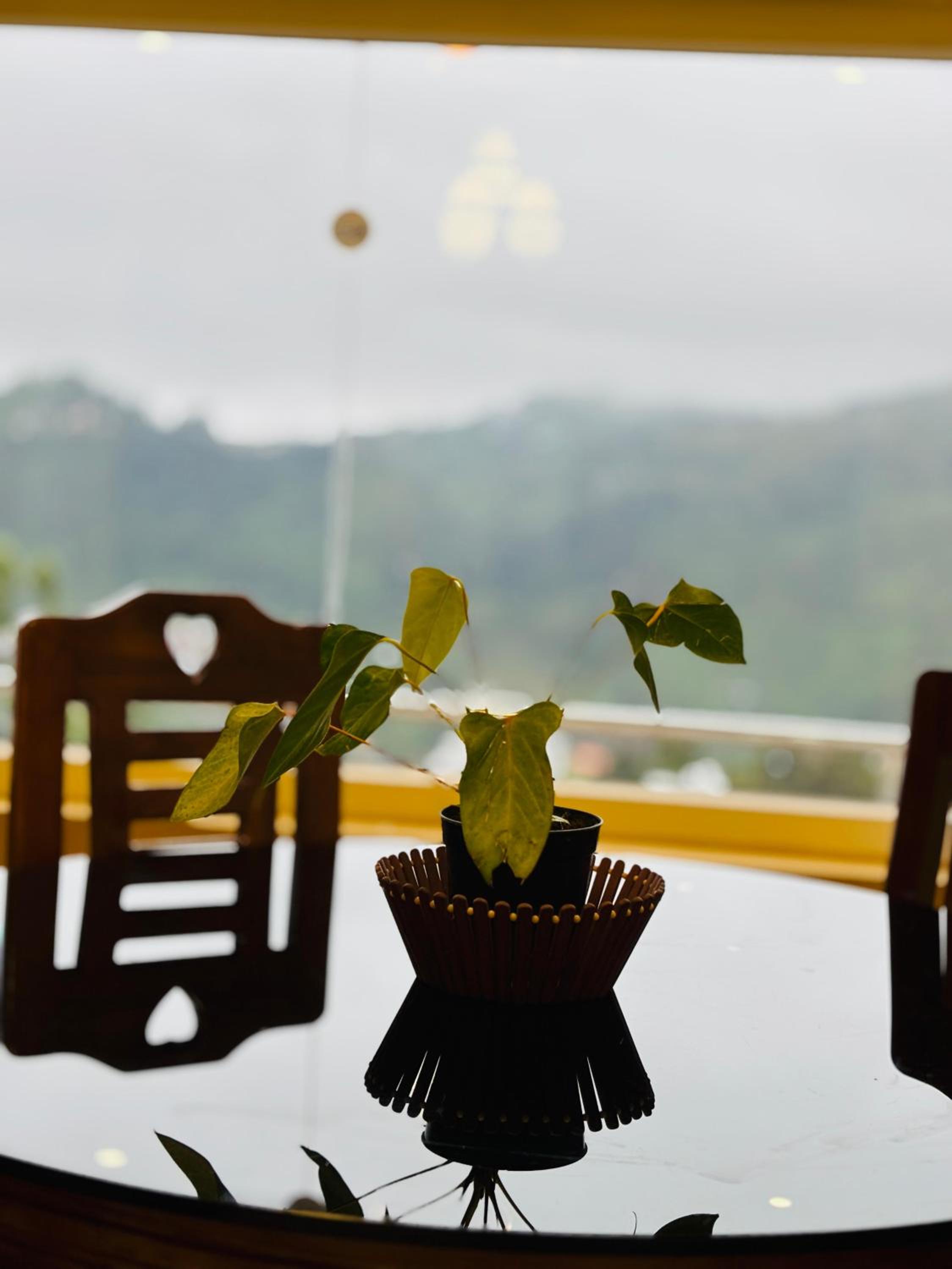 Kodai Scotberry Villa
