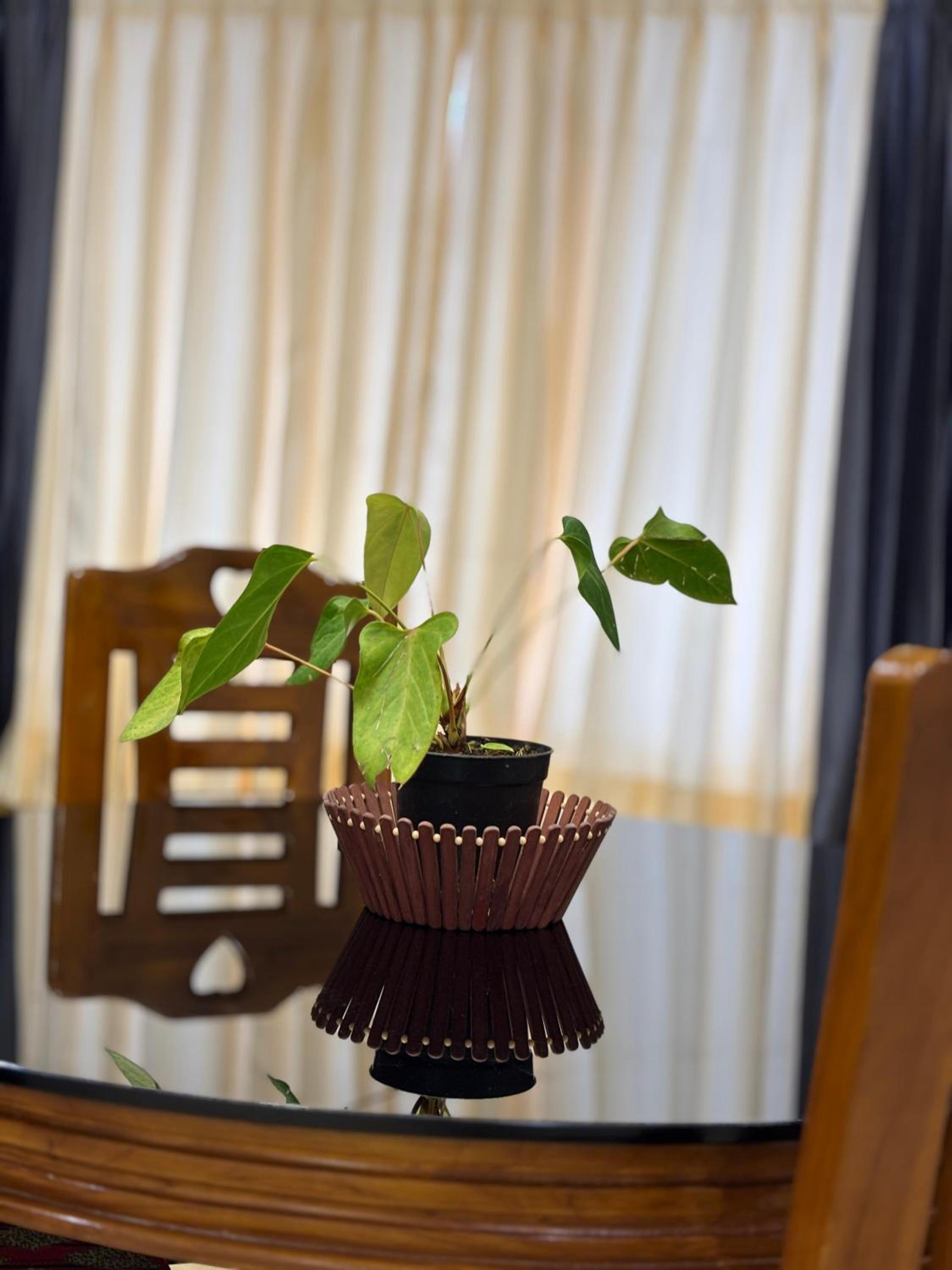 Kodai Scotberry Villa