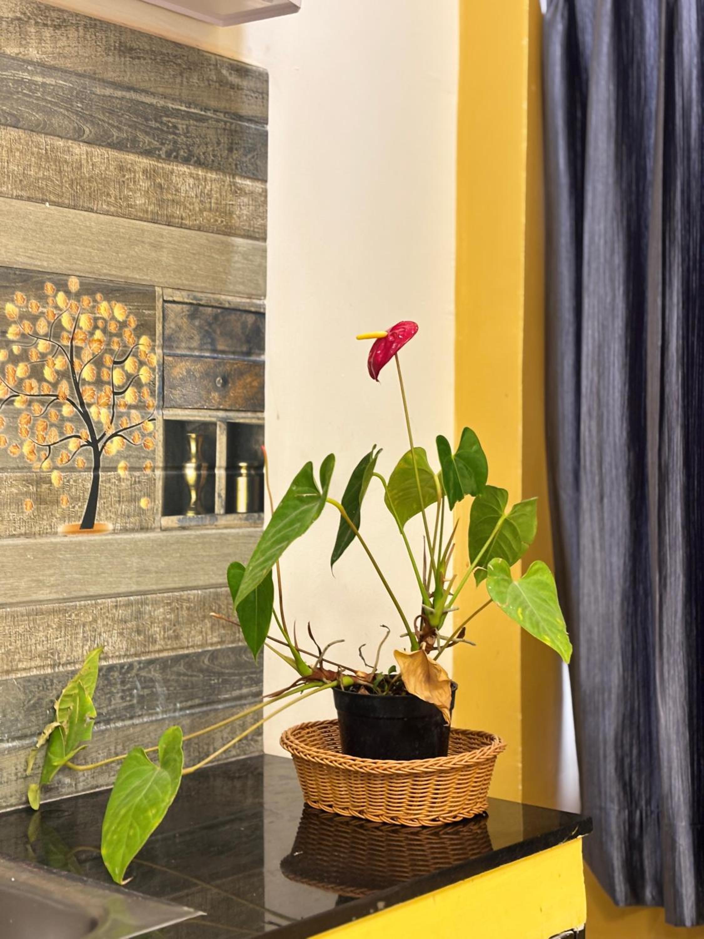 Kodai Scotberry Villa