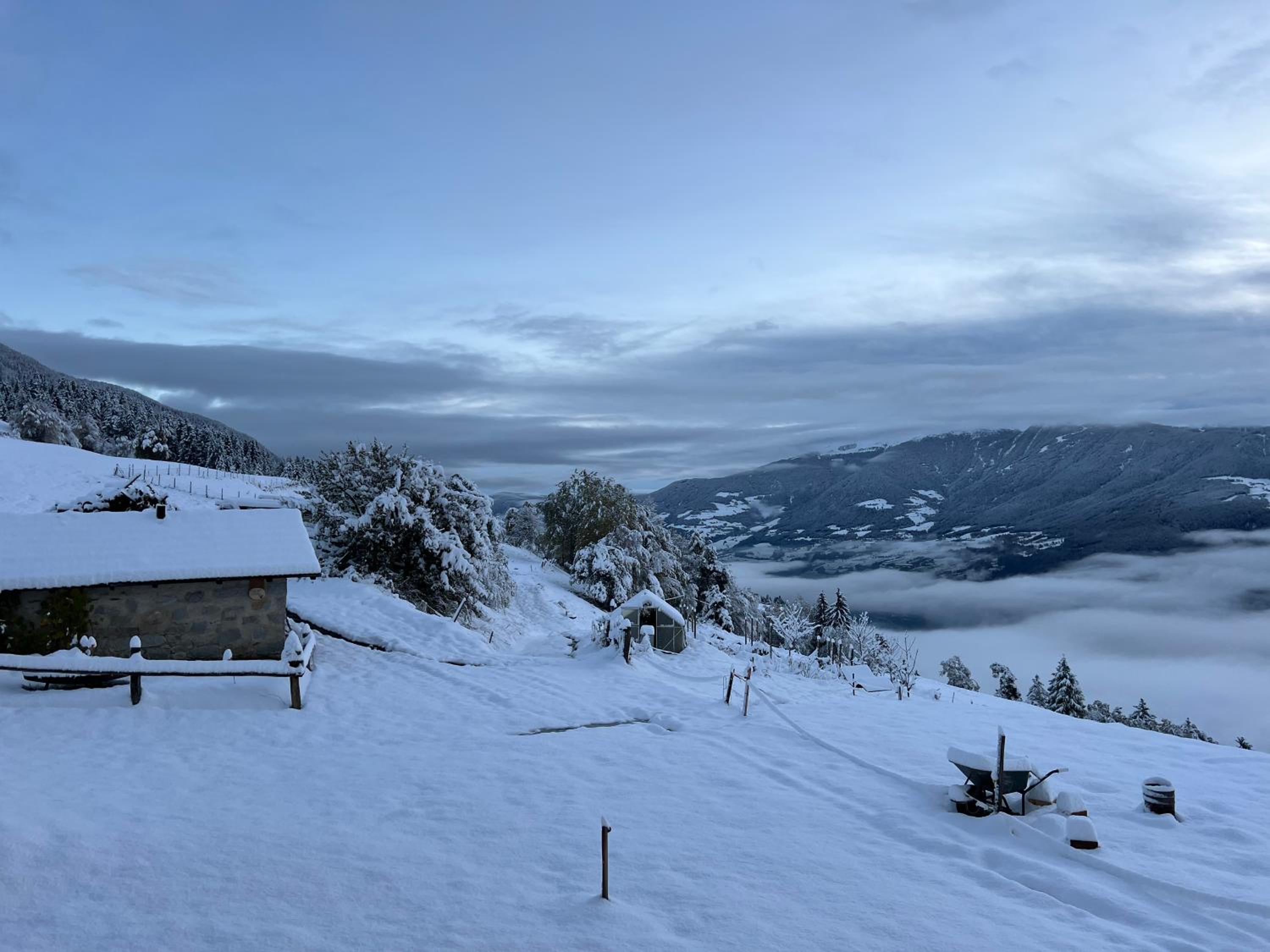 Proderhof