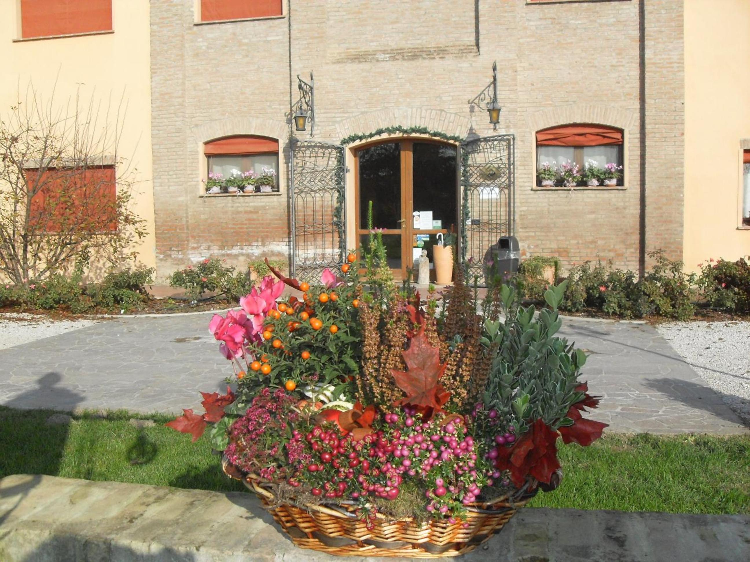 Photo 42