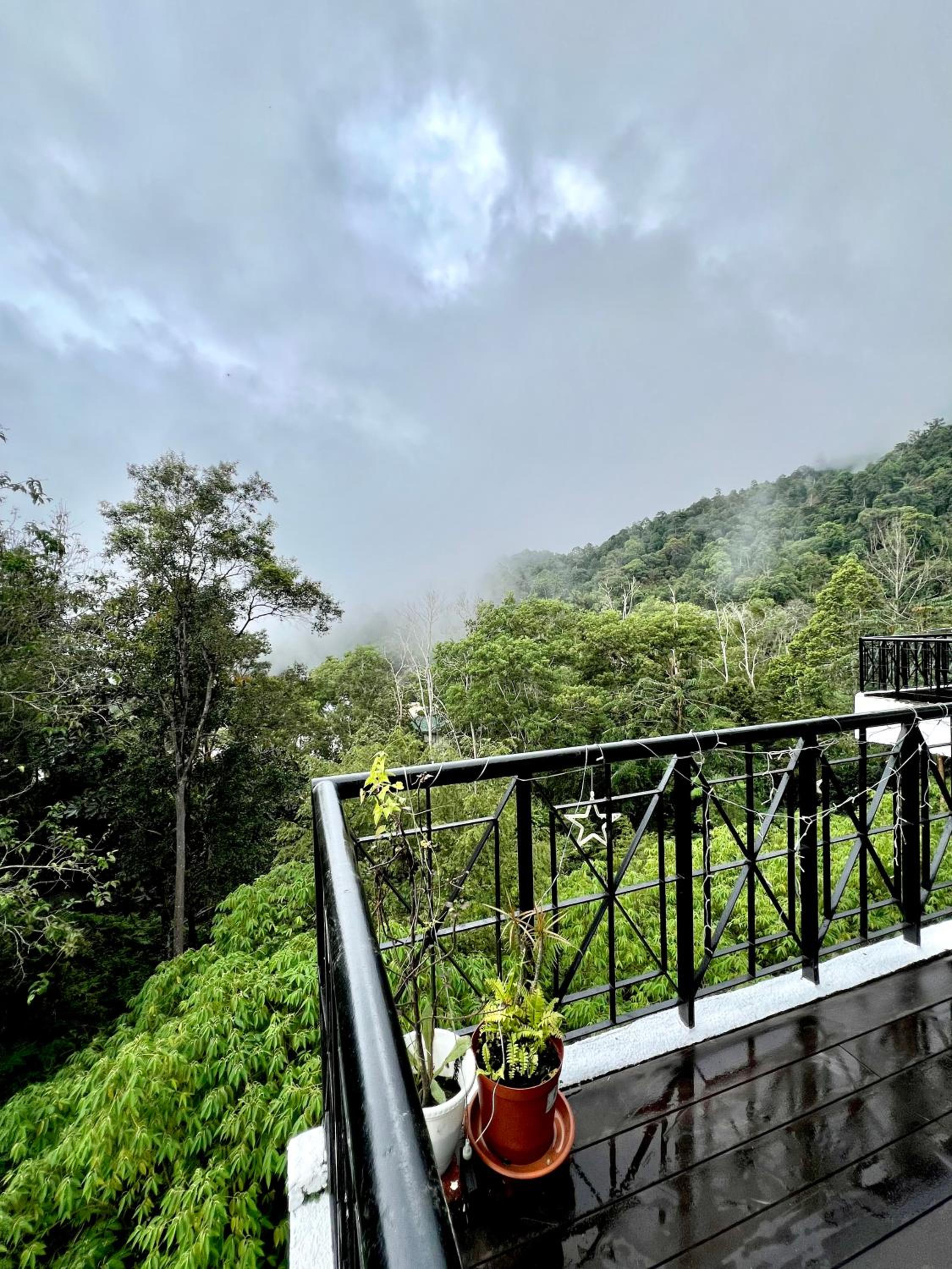 The Hillview inn Meranti Park Suites photo 4