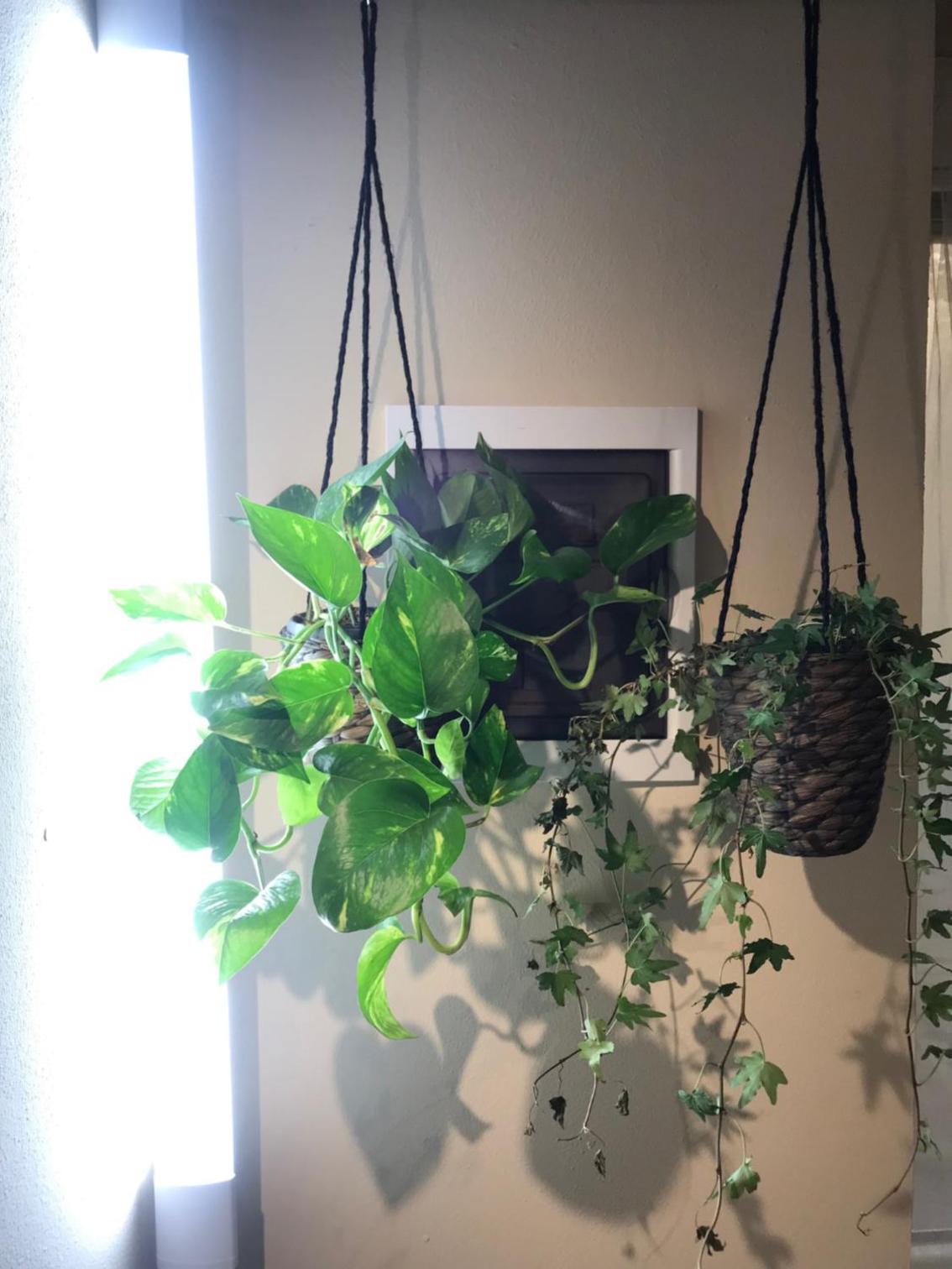 Urban study view 4