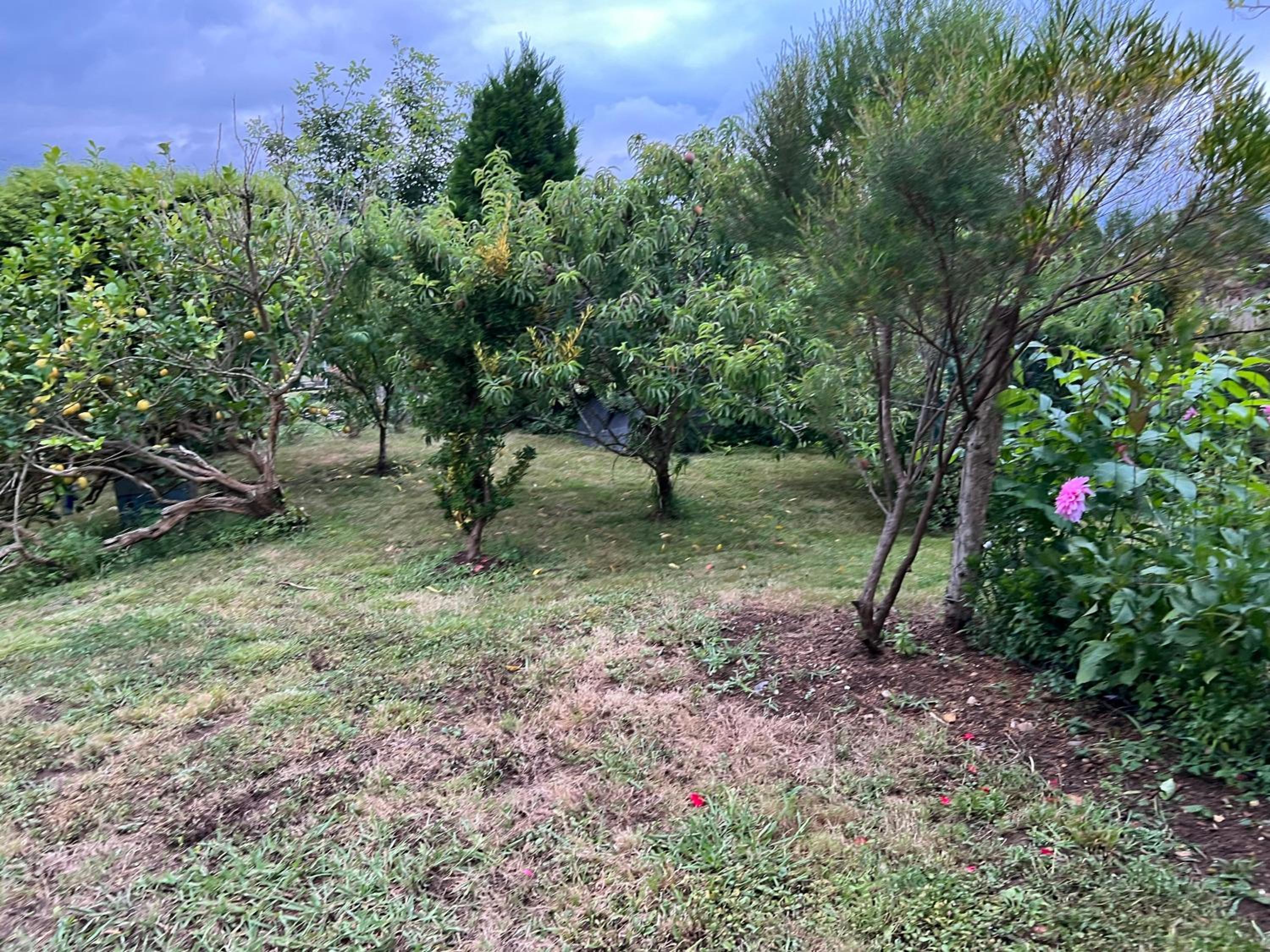 Apartamento de Pascualin con jardin privado en Ortigueira