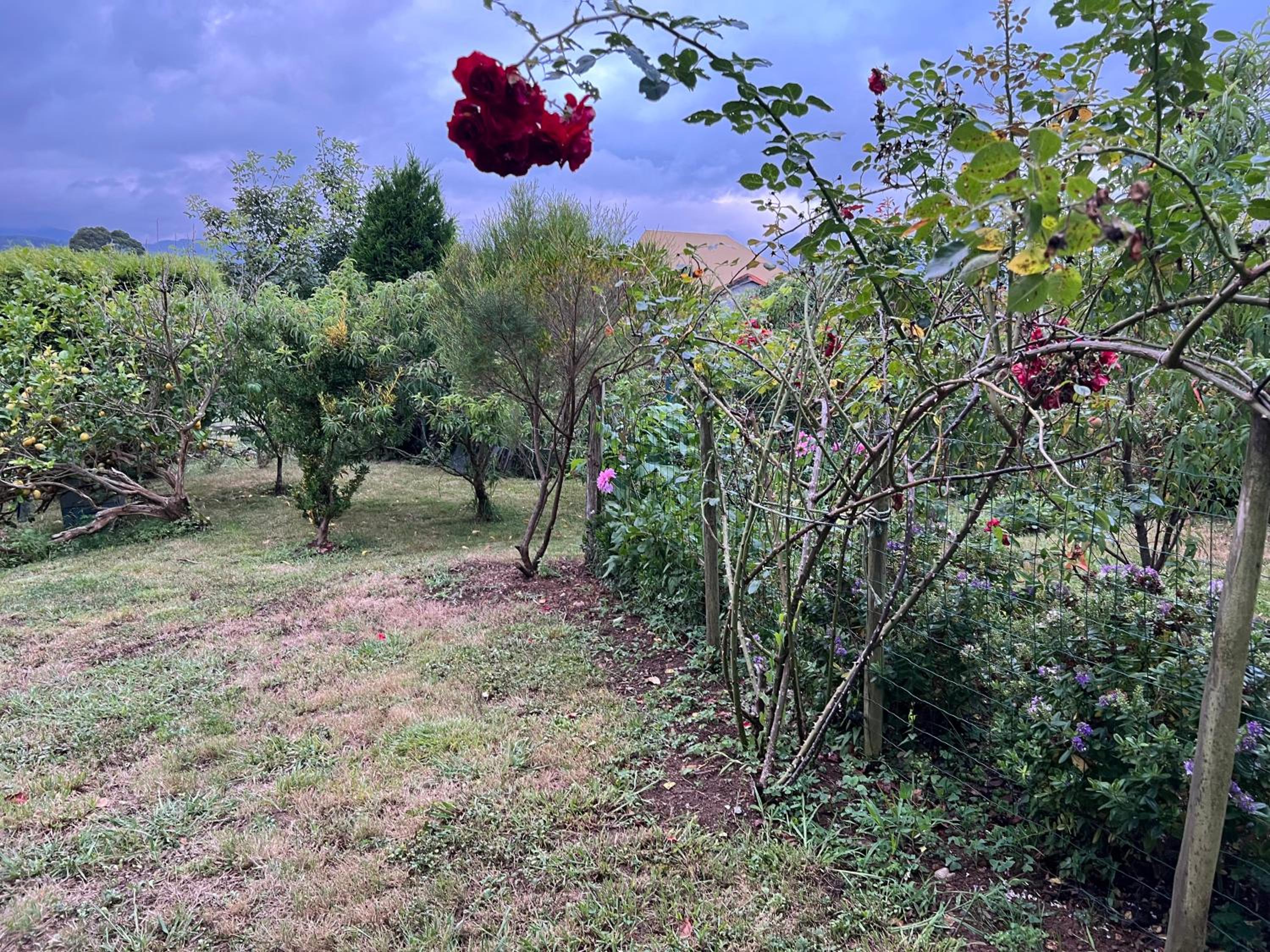Apartamento de Pascualin con jardin privado en Ortigueira