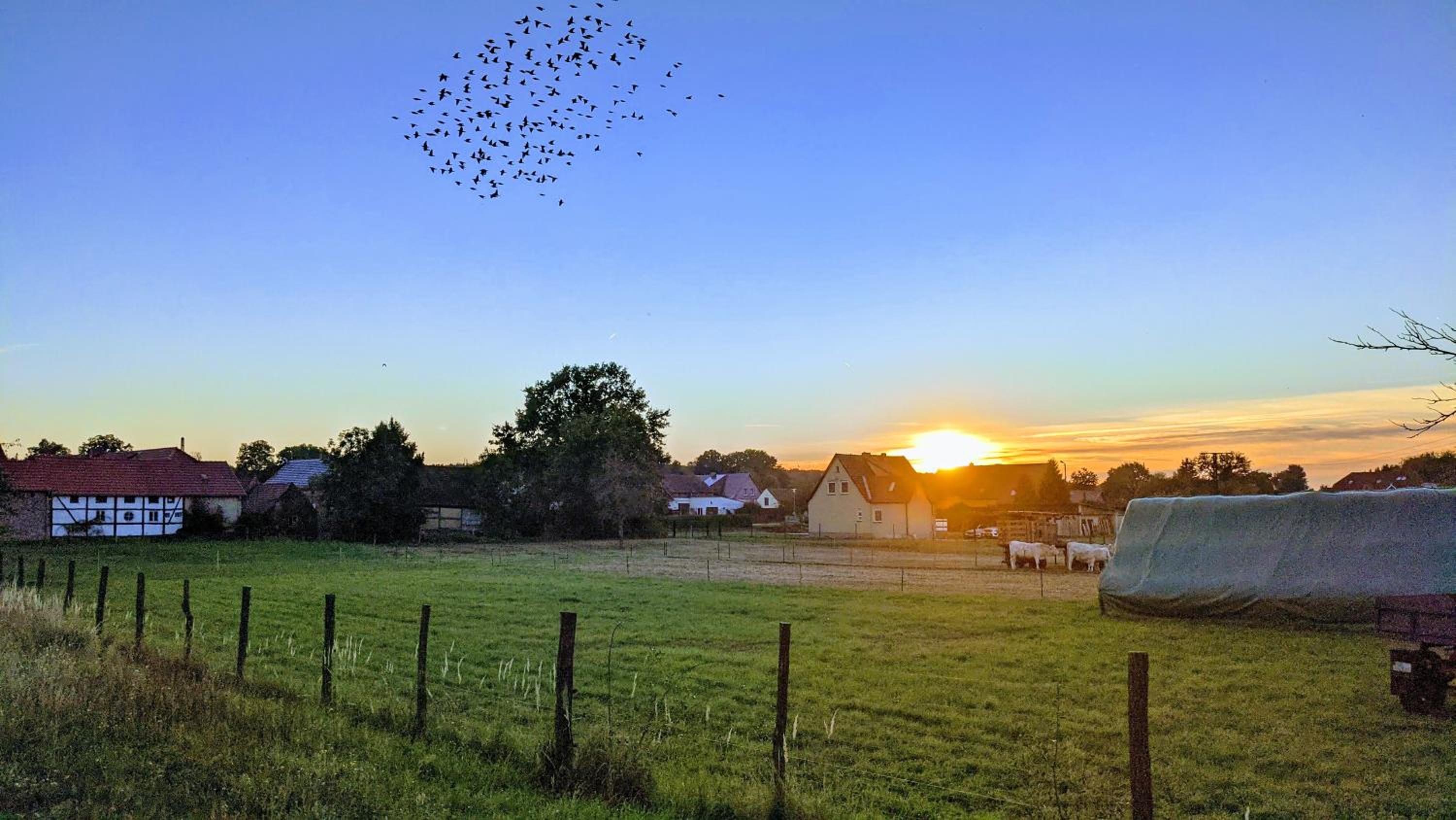 Gelbes Haus Seenland Ferienwohnungen XL