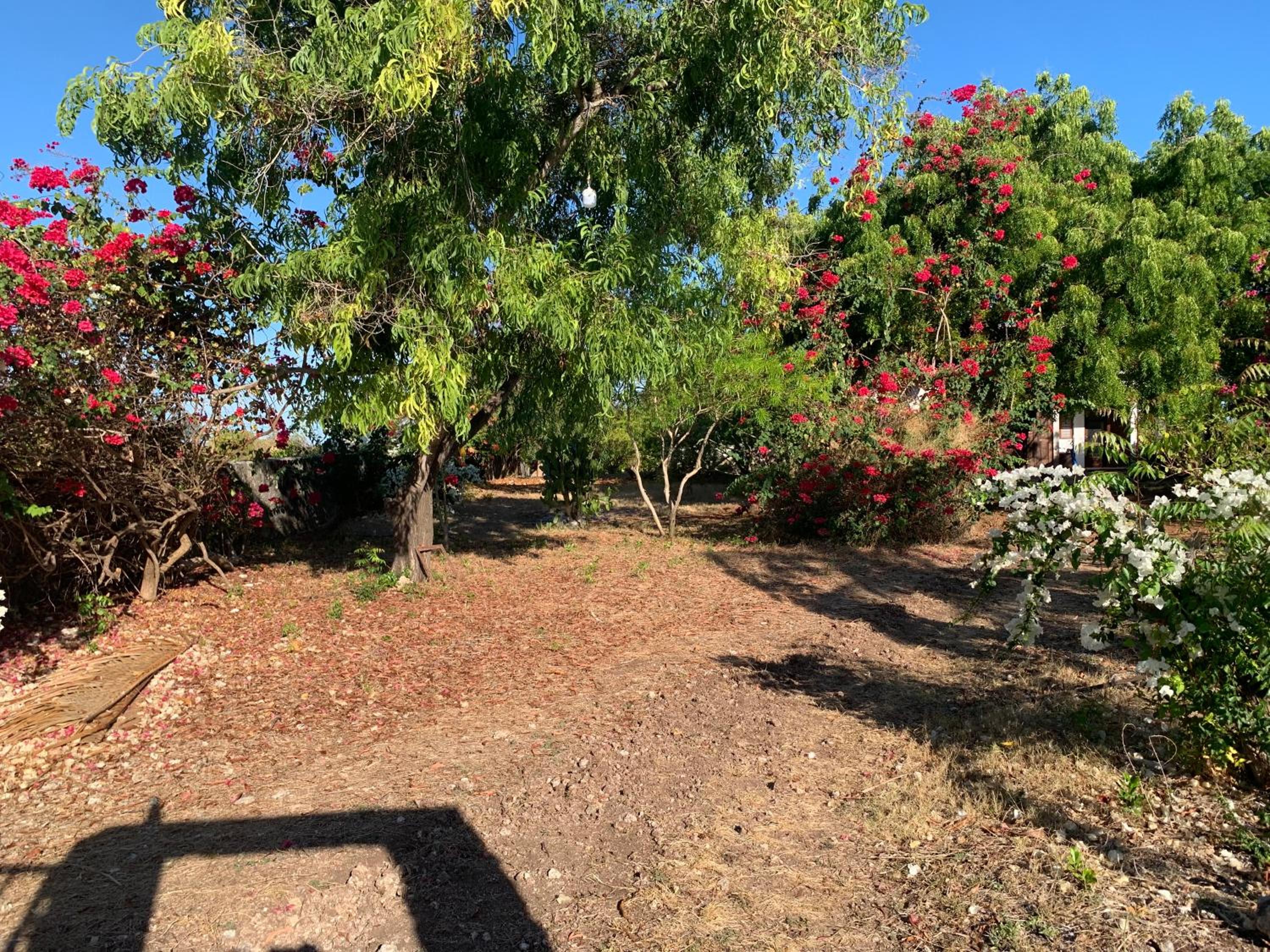 Kisharif holiday home