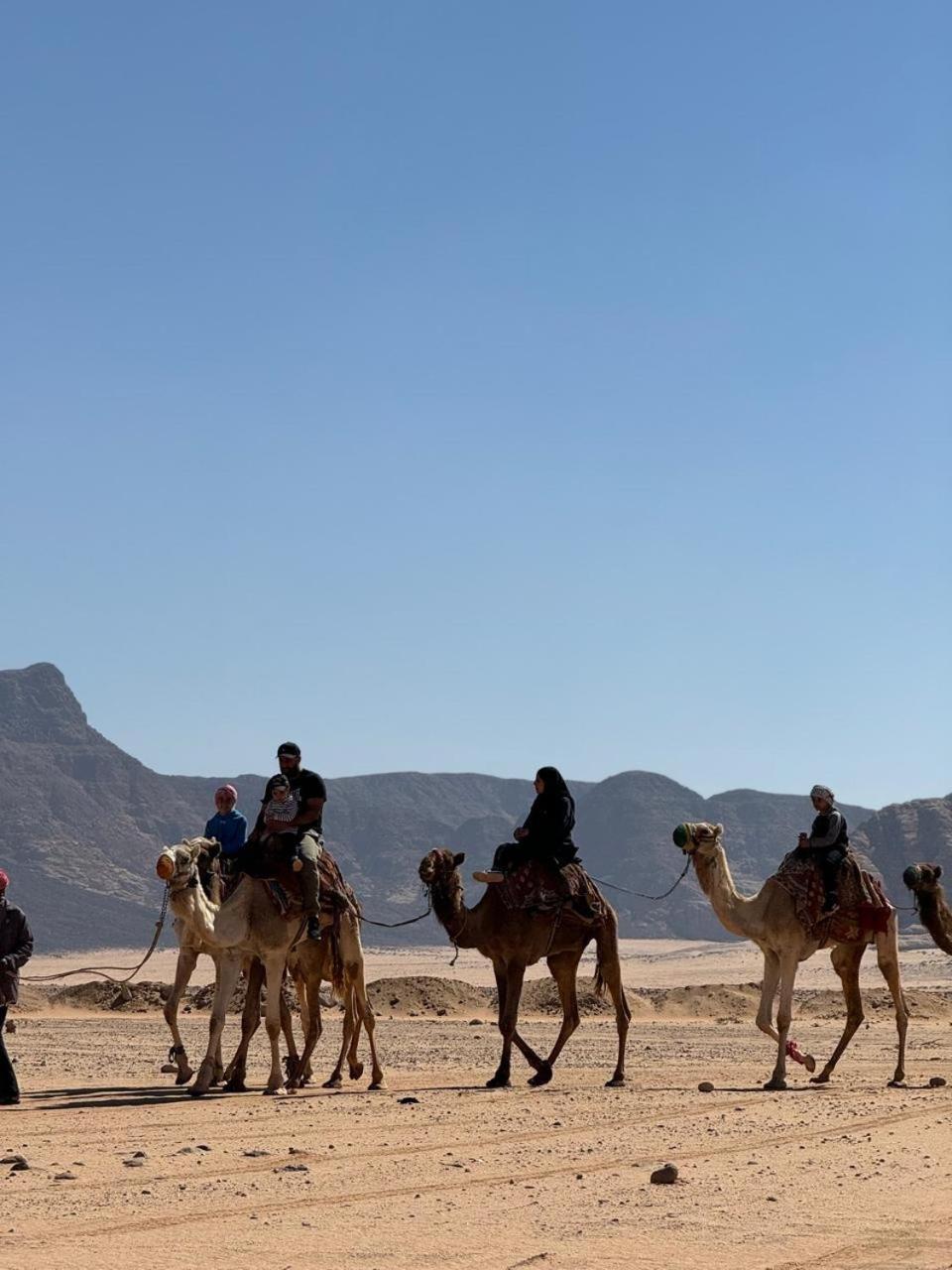 Wadi Rum Luxury Hamad & Jeep Tours view 2