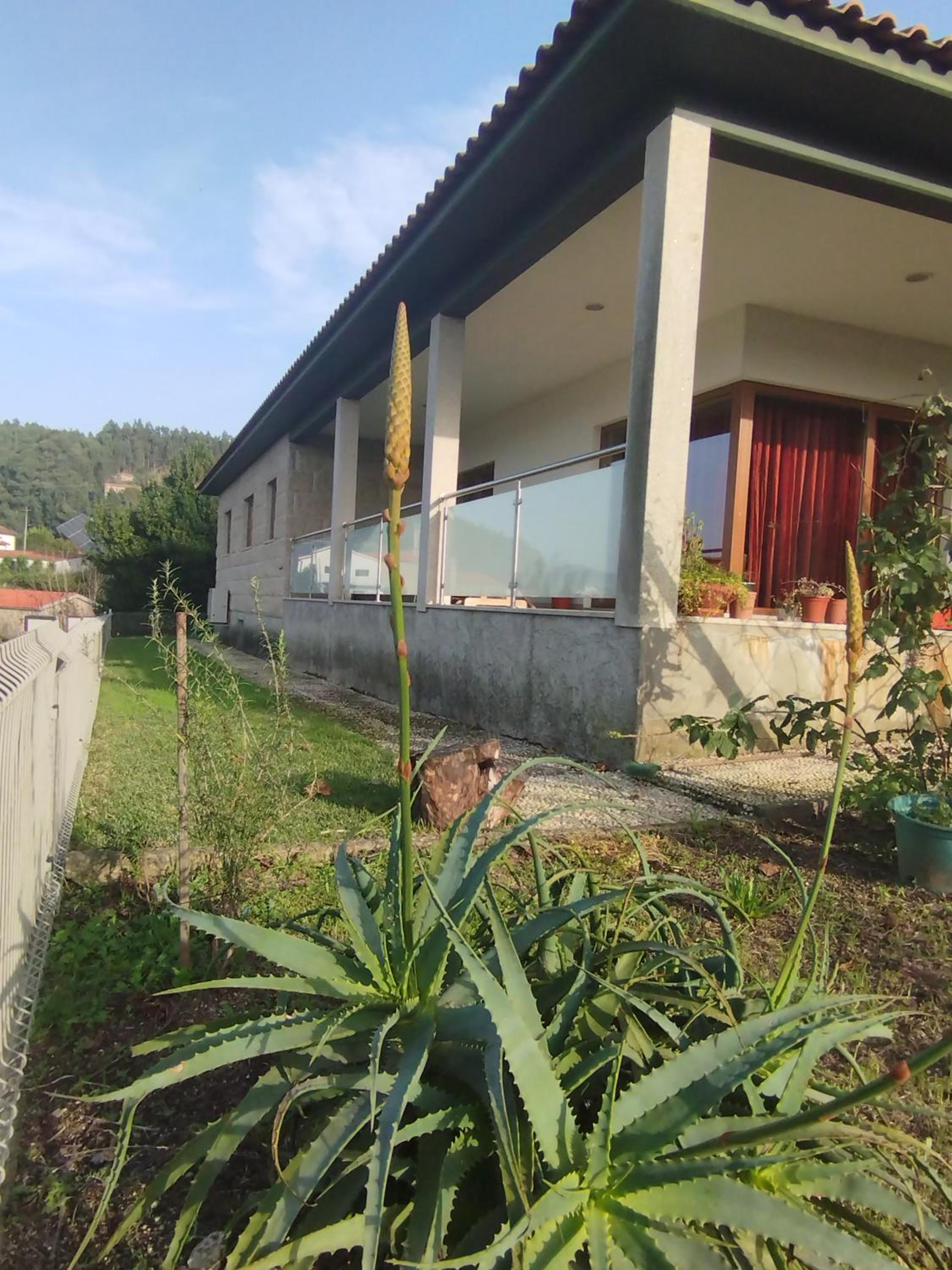 Casa da Vinha