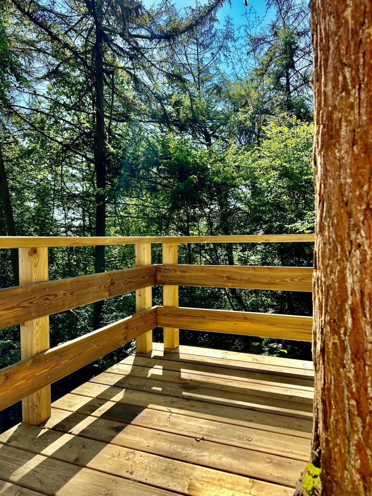 TINY HOUSE - La cabane de Tom
