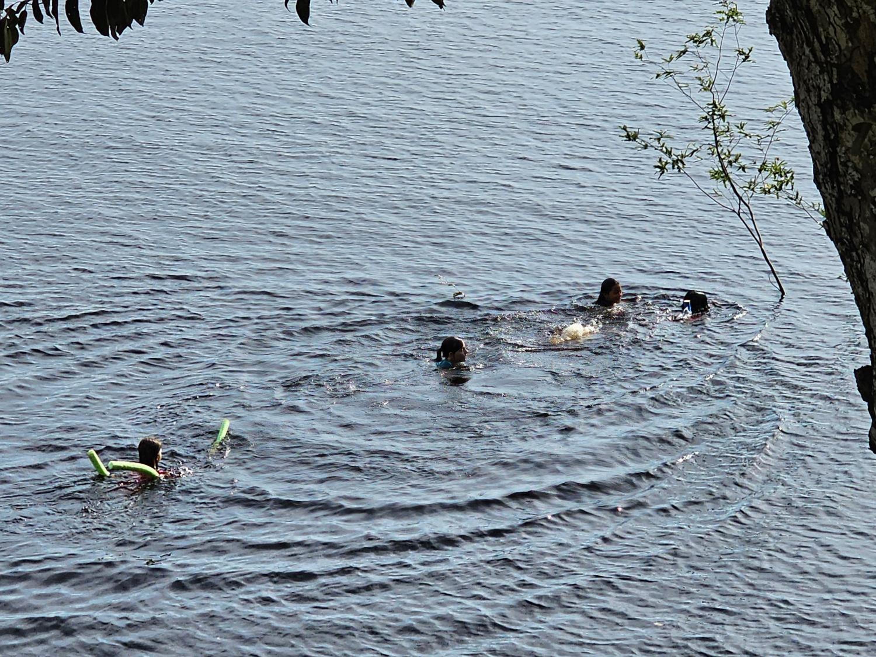 Premium Amazon Jungle Lodge