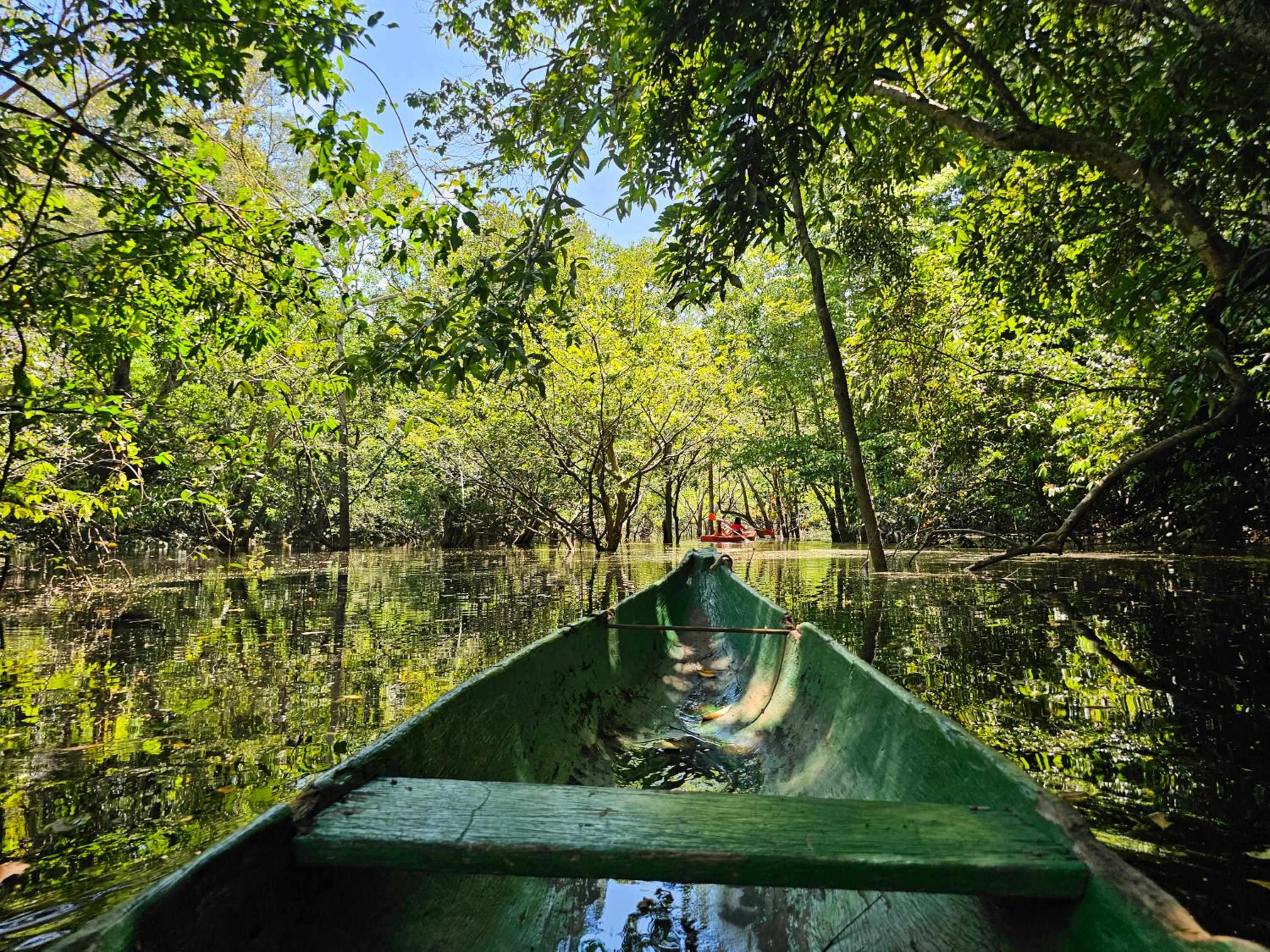 Premium Amazon Jungle Lodge