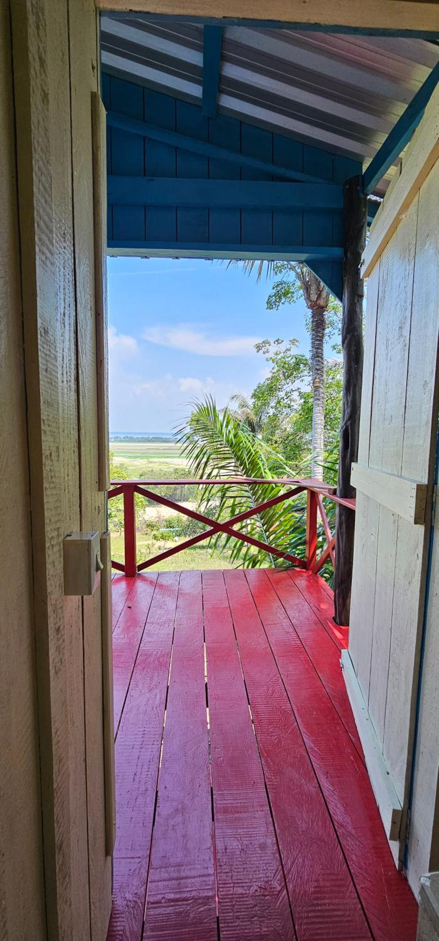 Premium Amazon Jungle Lodge