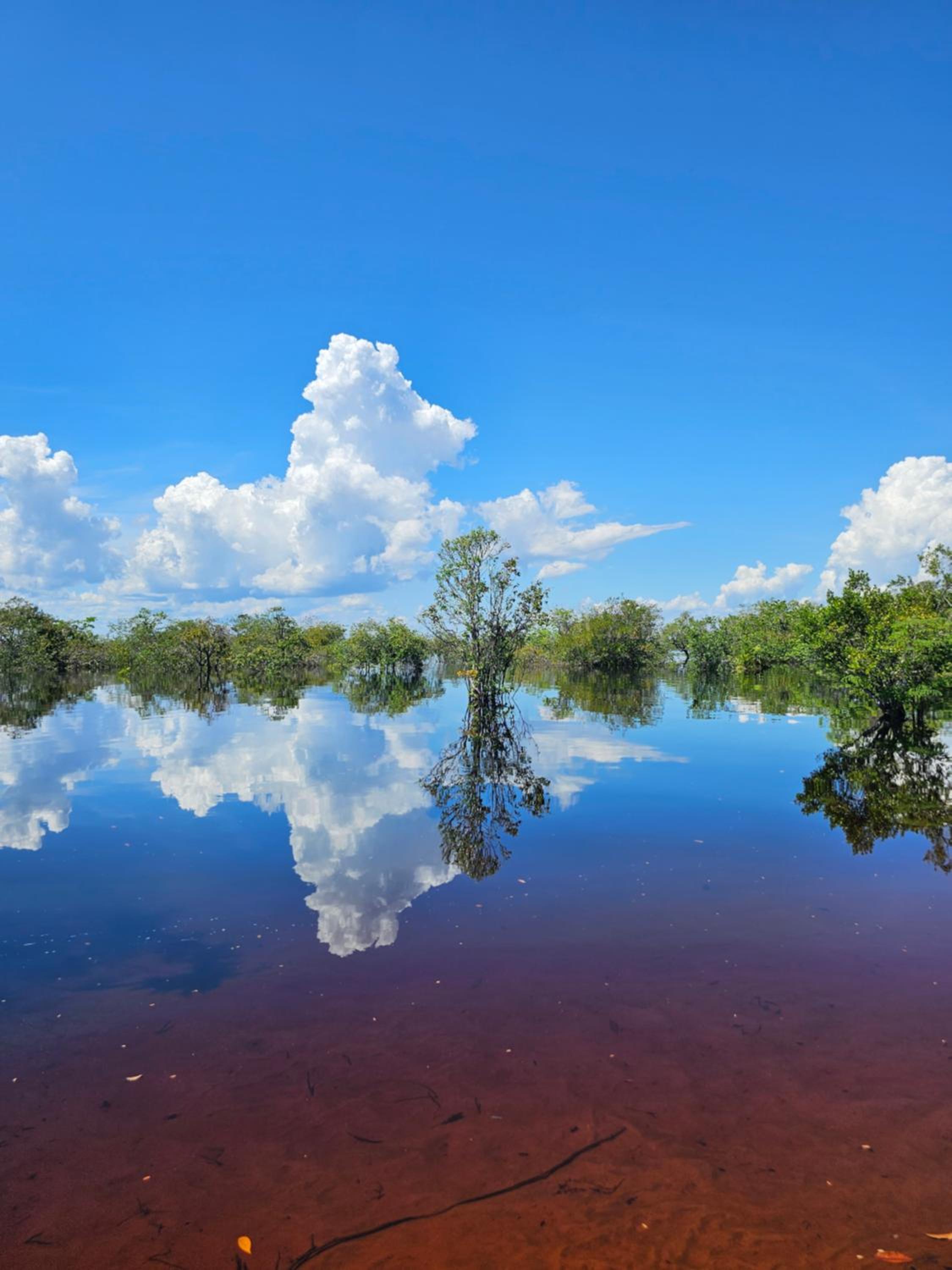 Premium Amazon Jungle Lodge