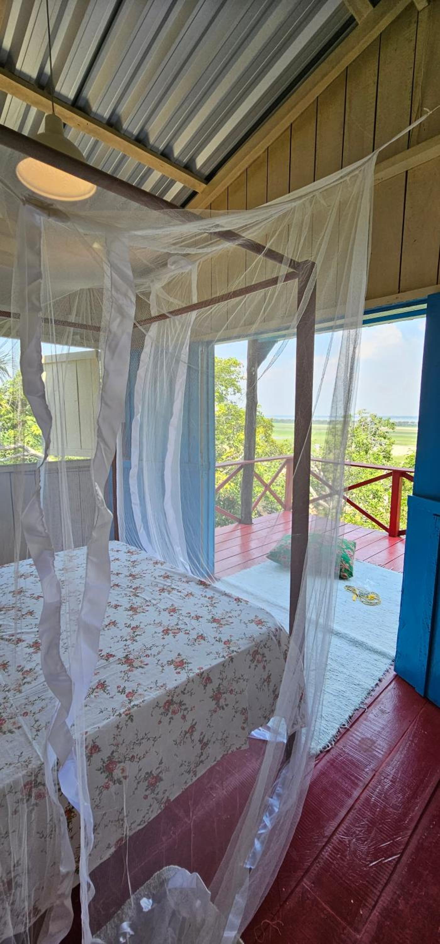 Premium Amazon Jungle Lodge