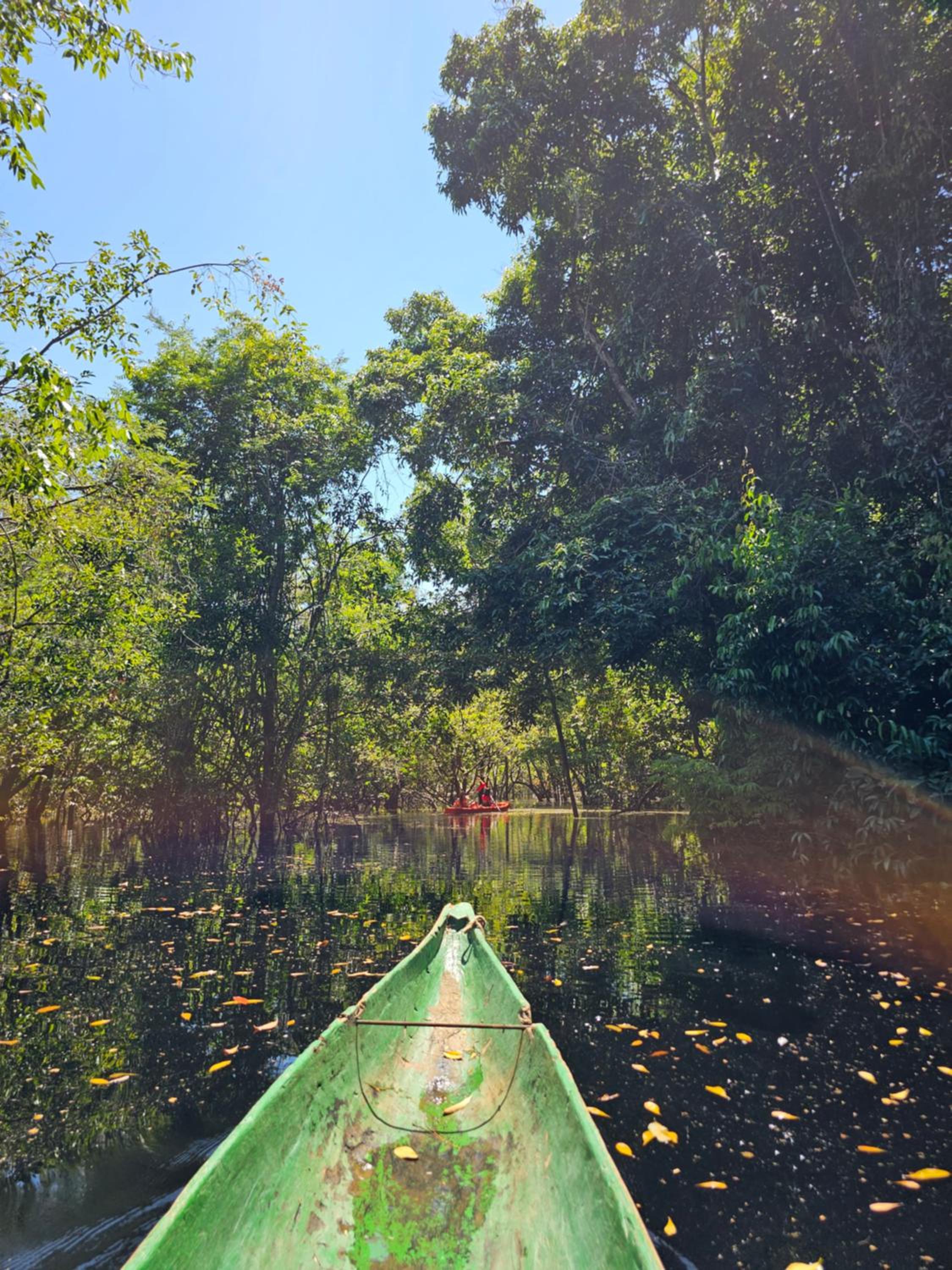 Premium Amazon Jungle Lodge