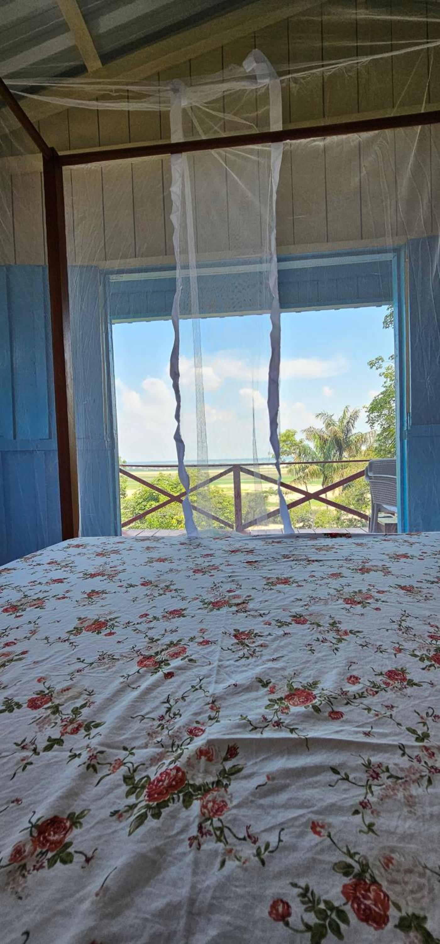 Premium Amazon Jungle Lodge