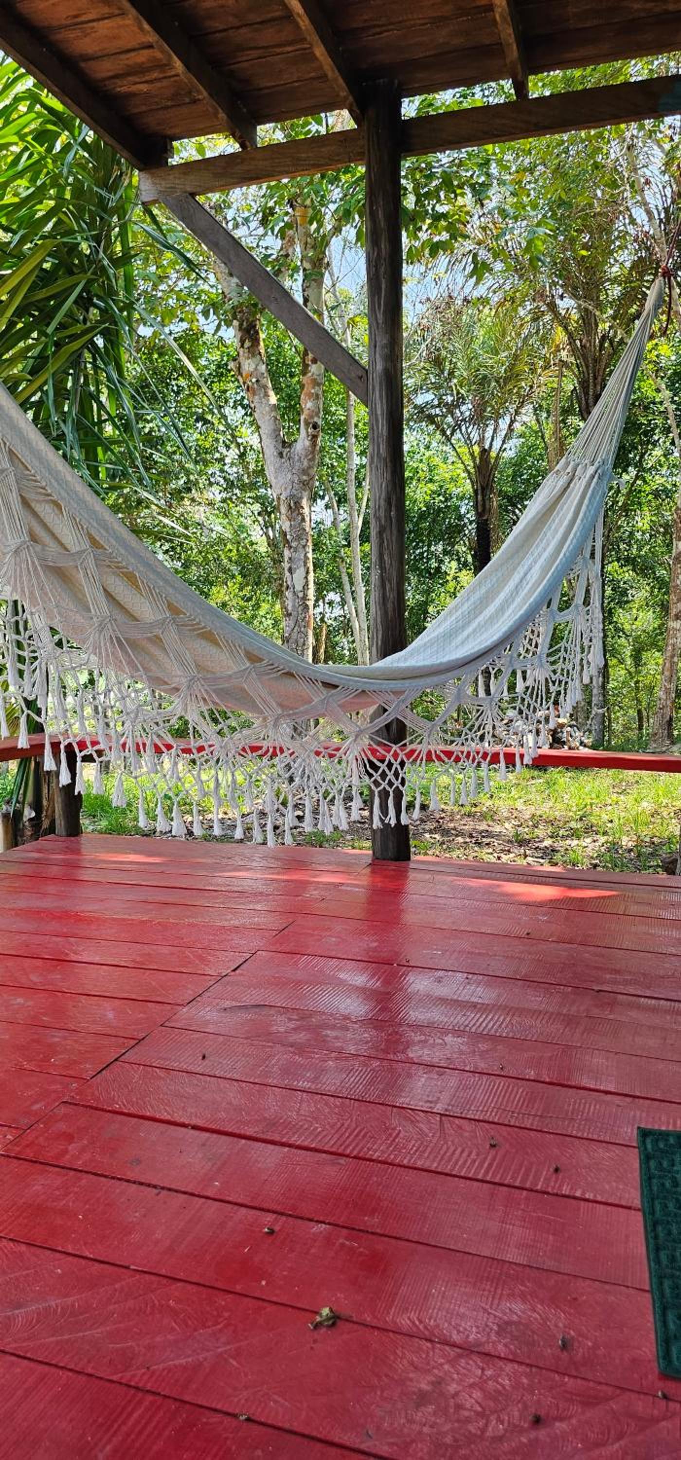 Premium Amazon Jungle Lodge